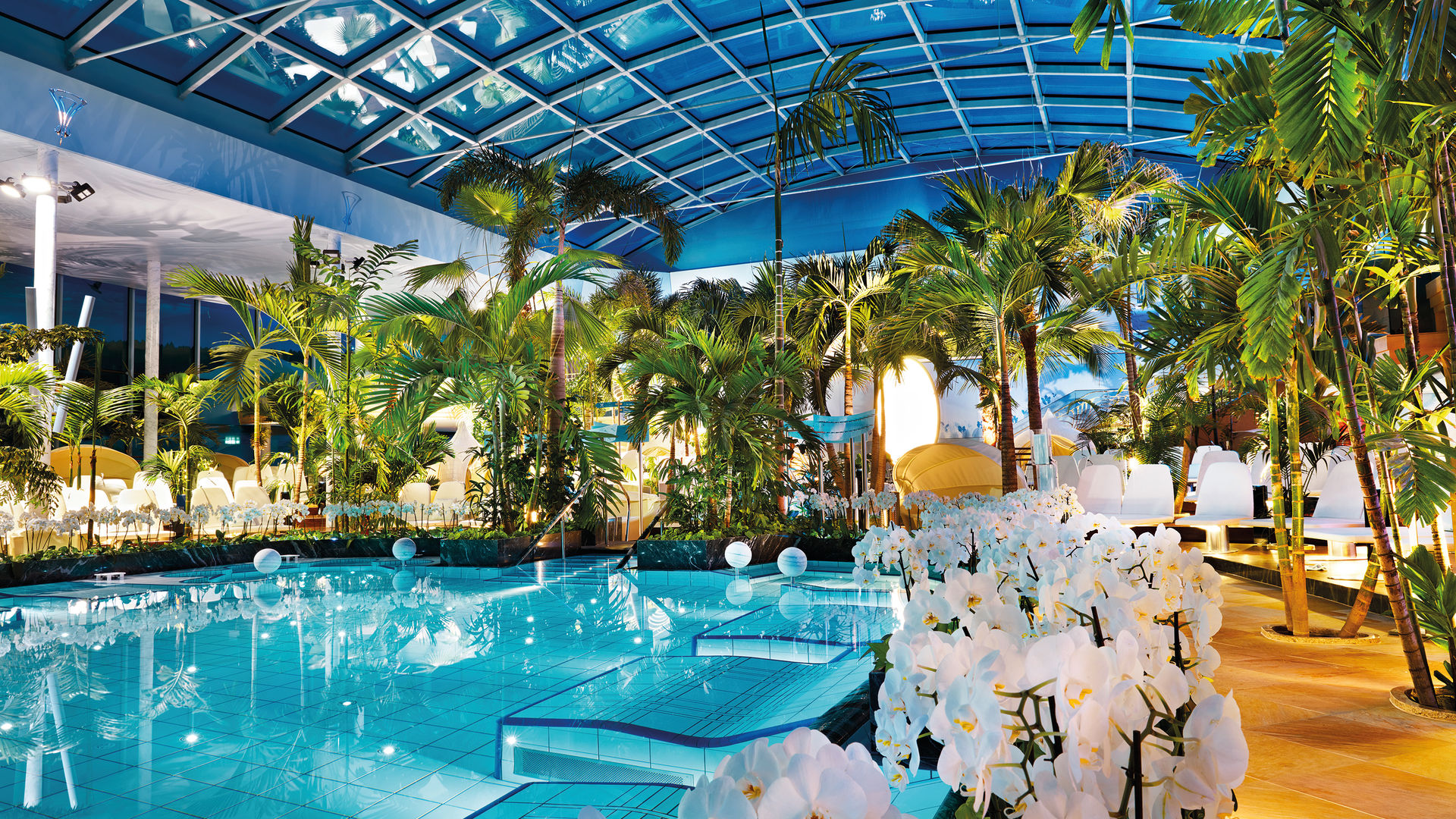 Palmenoase im Badeparadies Schwarzwald