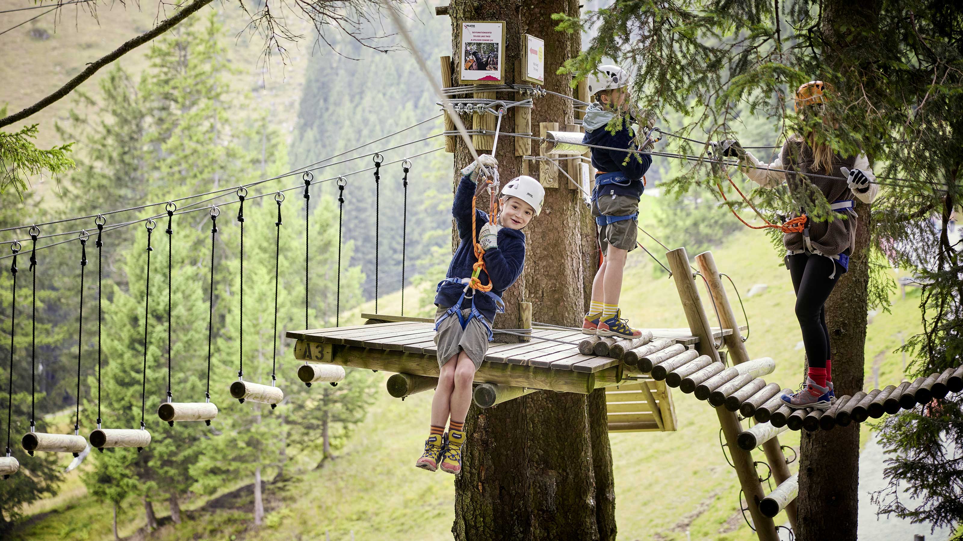 A child on a zipline, surrounded by trees in the forest. An exciting experience in the great outdoors.