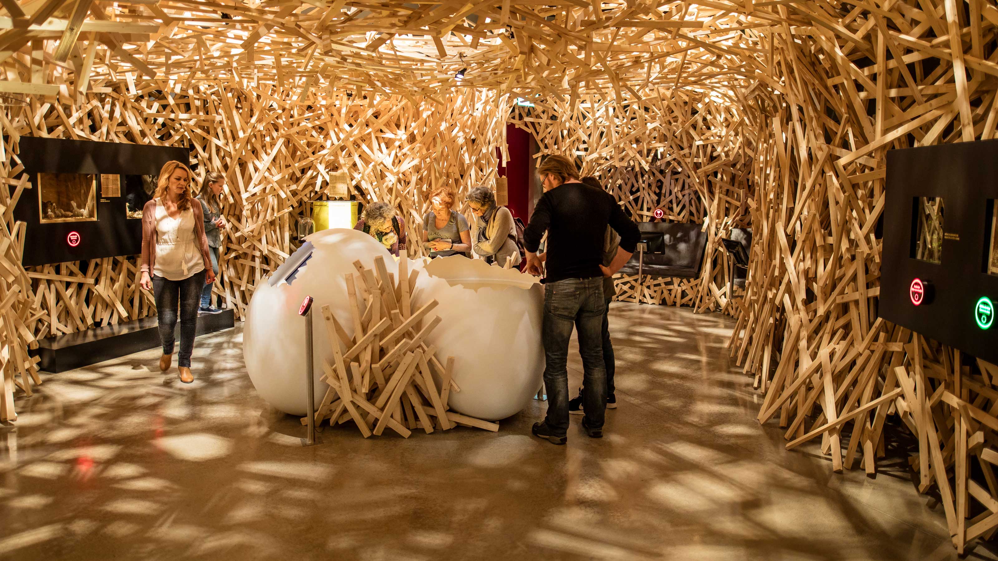 Personen besuchen einen Raum in einem Museum mit großen Vogeleier in der Mitte.