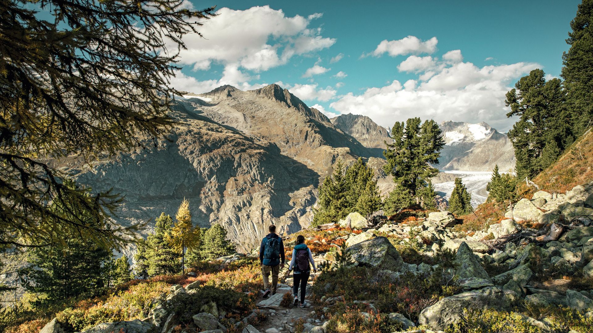 Man and woman hiking above Riederalp. The mighty Aletsch glacier stretches out to the right. All around are mountain peaks and steep rock faces. The trees and bushes glow in green, yellow and orange.