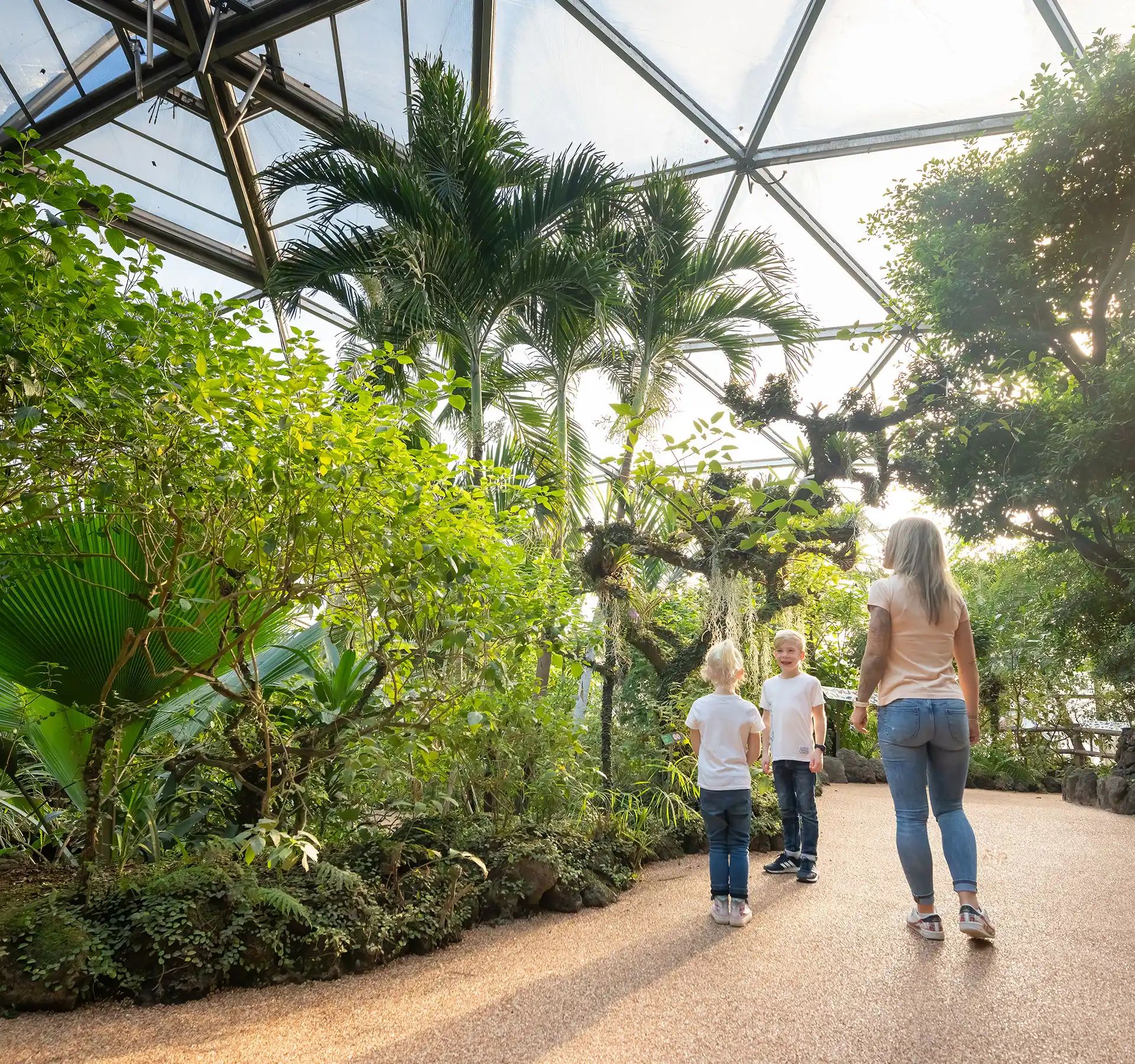 Zwei Kinder und eine Erwachsene gehen auf einem Weg im Papiliorama, umgeben von tropischen Bäumen unter einem Glasdach.