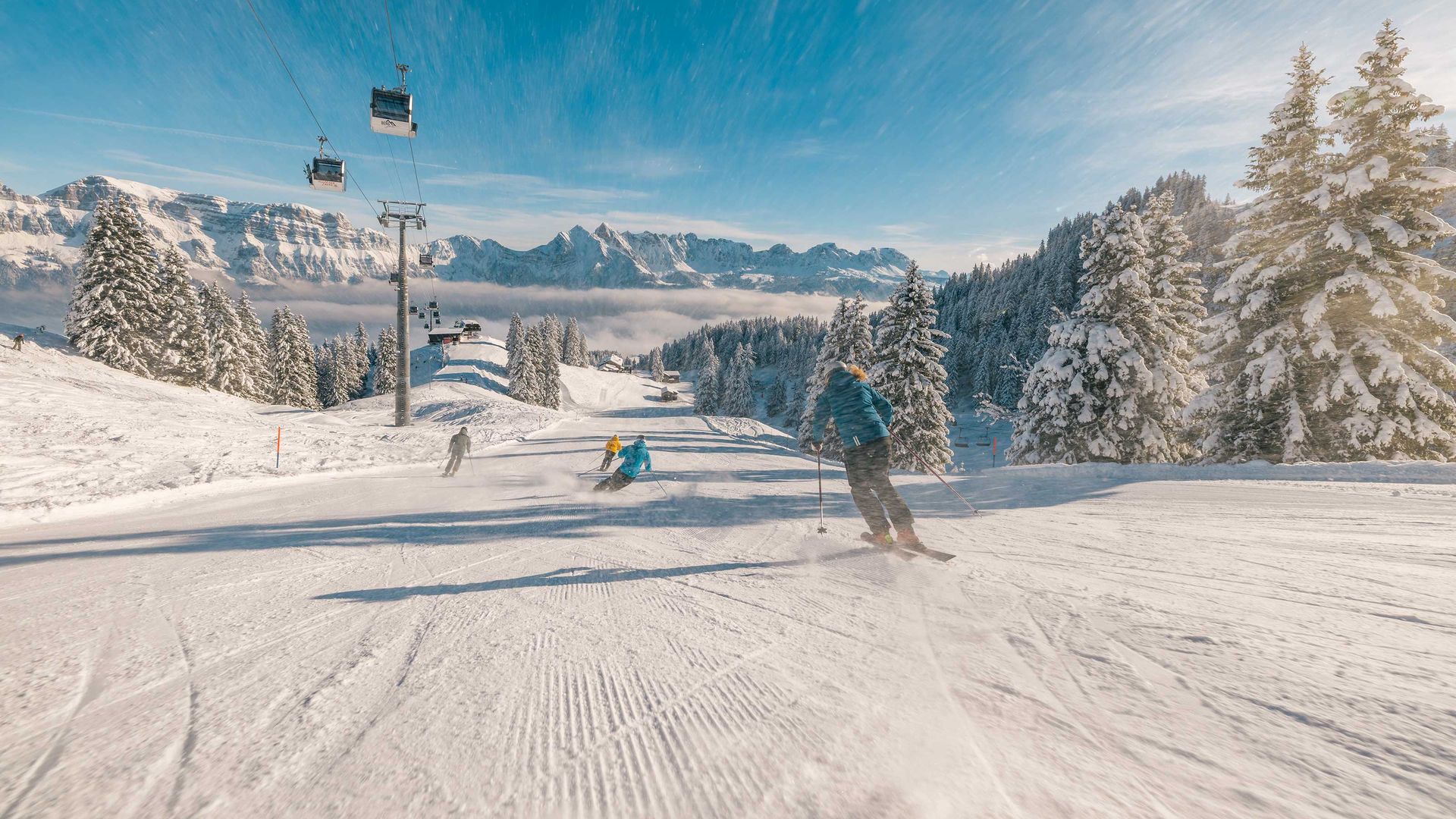 Das Bild zeigt eine gruppen von Skifahrern, die bei herrlichem, sonnigen Winter eine Piste hinunterfahren.