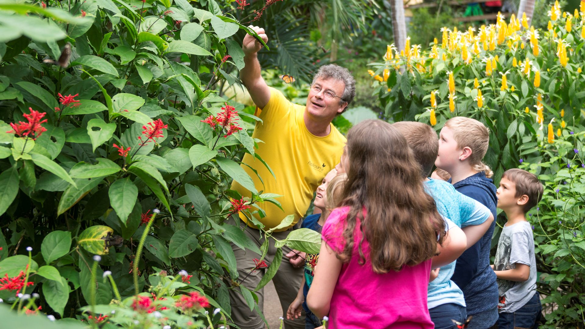 Dans un jardin tropical, un homme montre à un groupe d'enfants des fleurs rouges et des papillons qui volent autour de lui.