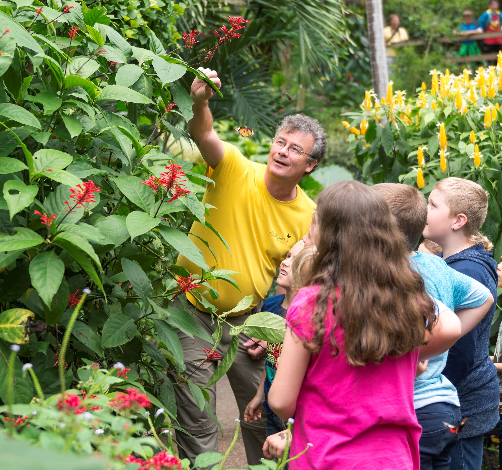 Dans un jardin tropical, un homme montre à un groupe d'enfants des fleurs rouges et des papillons qui volent autour de lui.