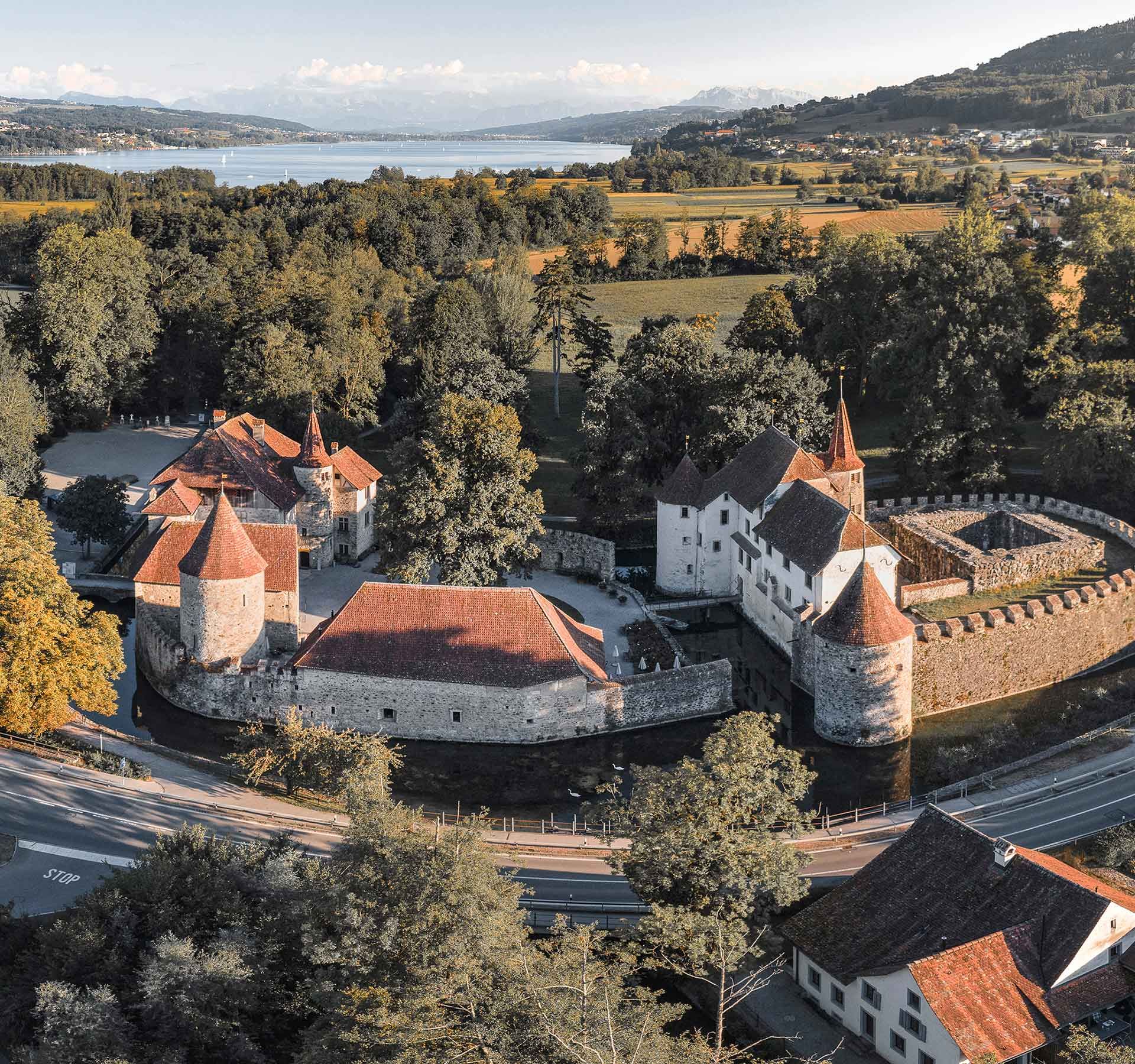 Aerial view showcasing a majestic castle surrounded by greenery, with a winding road leading towards it.