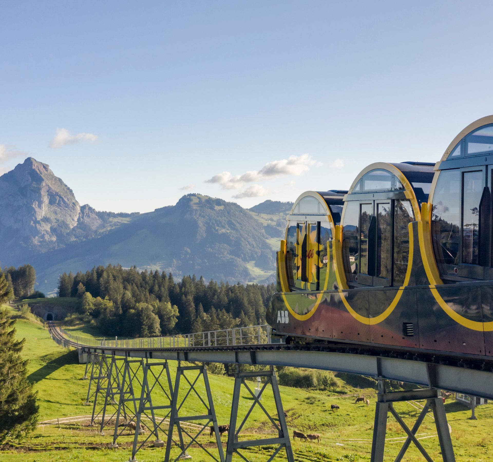 Le funiculaire jaune et noir de Stoos circulant sur un câble en acier au milieu de prairies de montagne verdoyantes parsemées de sapins, avec en arrière-plan des montagnes se découpant sur un ciel bleu.