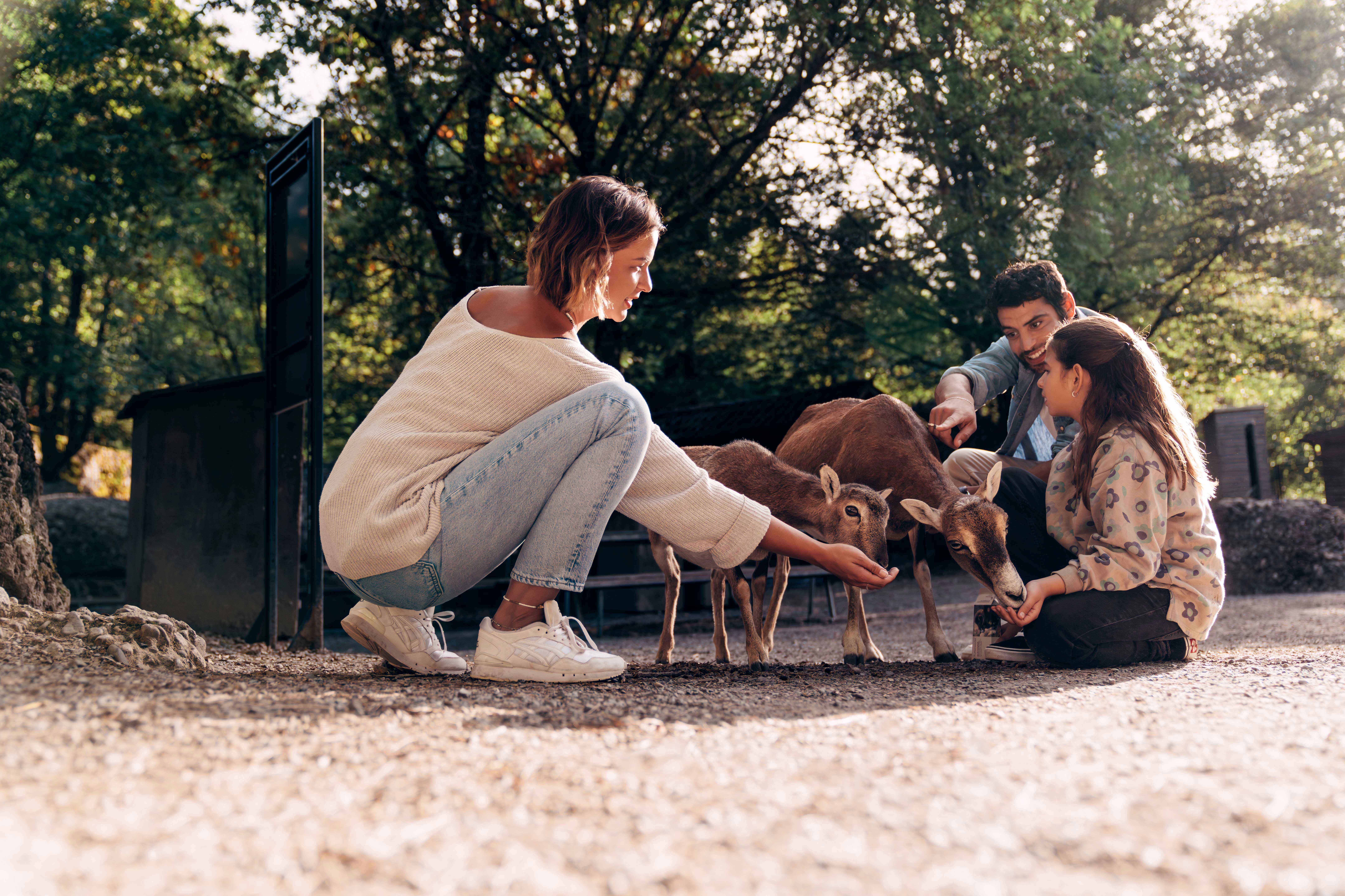 A woman and two children feed a goat outdoors.