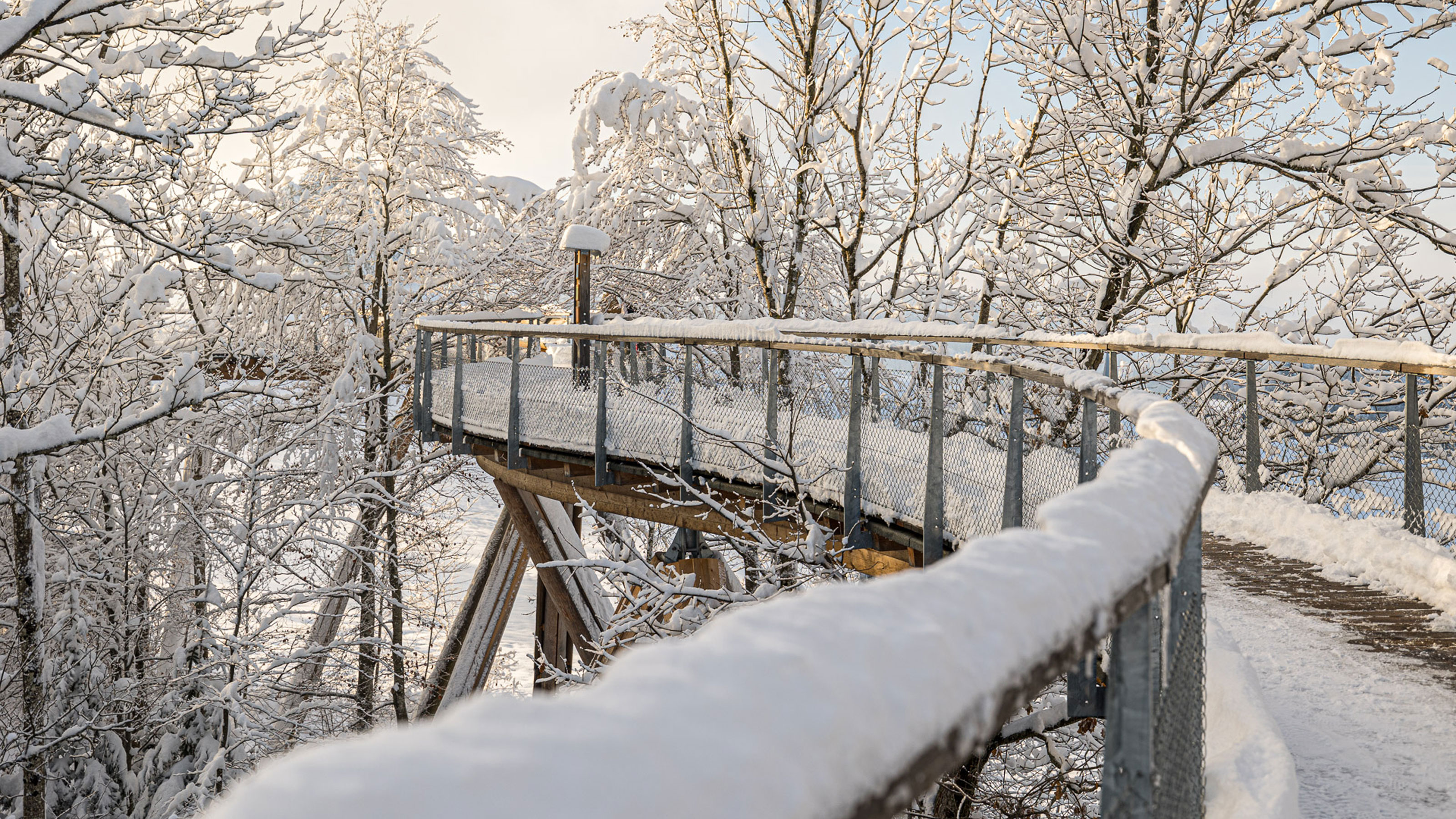 Neckertal treetop trail.