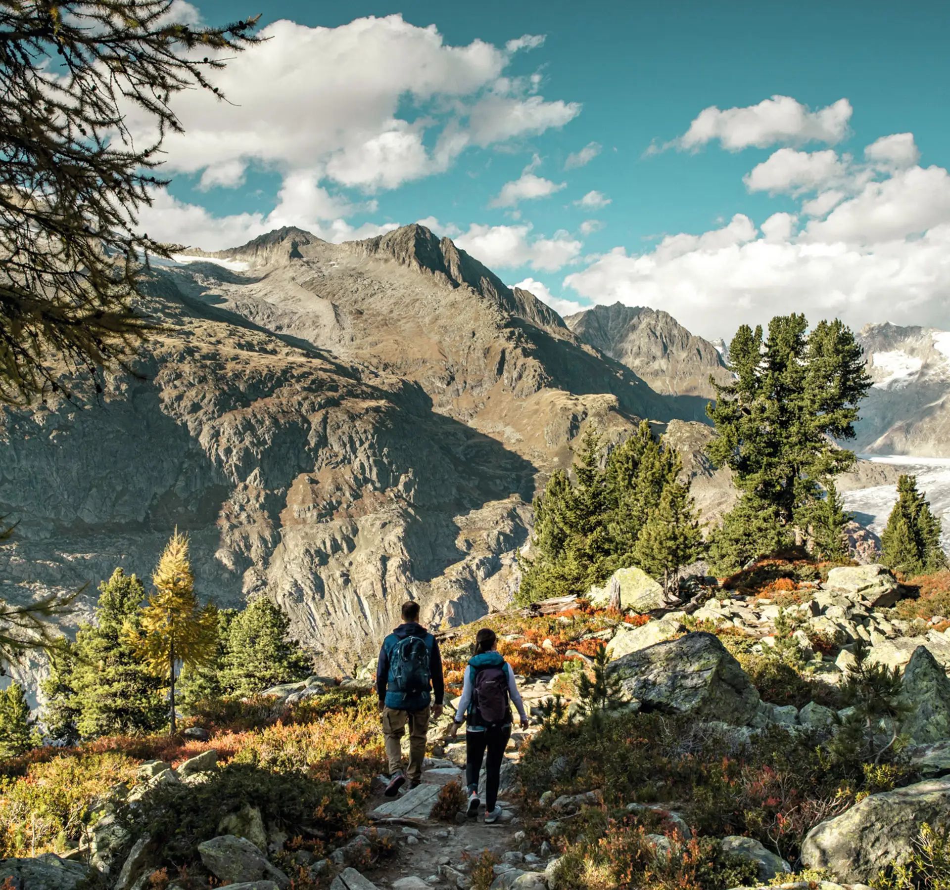Man und Frau wandern oberhalb der Riederalp. Rechts erstreckt sich der mächtige Aletschgletscher. Rund herum sind Berggipfel und steile Felswände zu erkennen. Die Bäume und Büsche leuchten in grün, gelb und Orange.