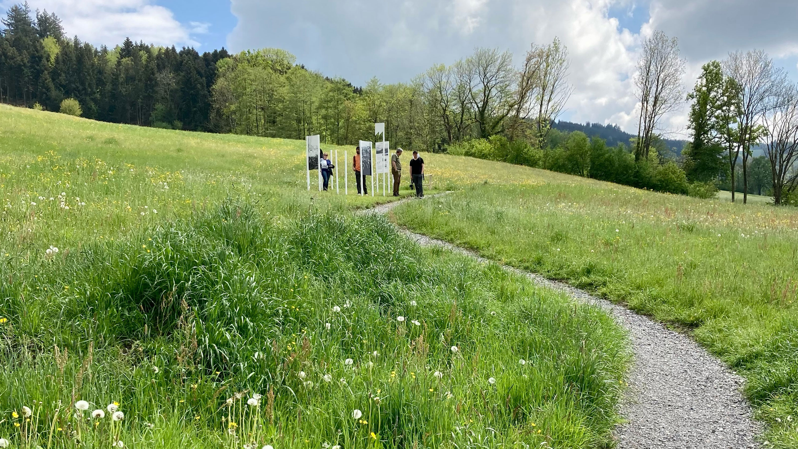 Green meadow landscape with a narrow gravel path; several people are looking at information boards in front of trees and wooded hills.