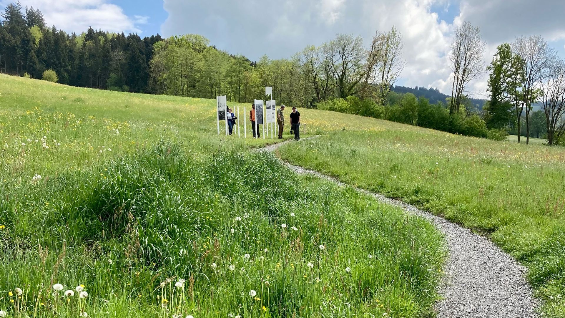 Green meadow landscape with a narrow gravel path; several people are looking at information boards in front of trees and wooded hills.