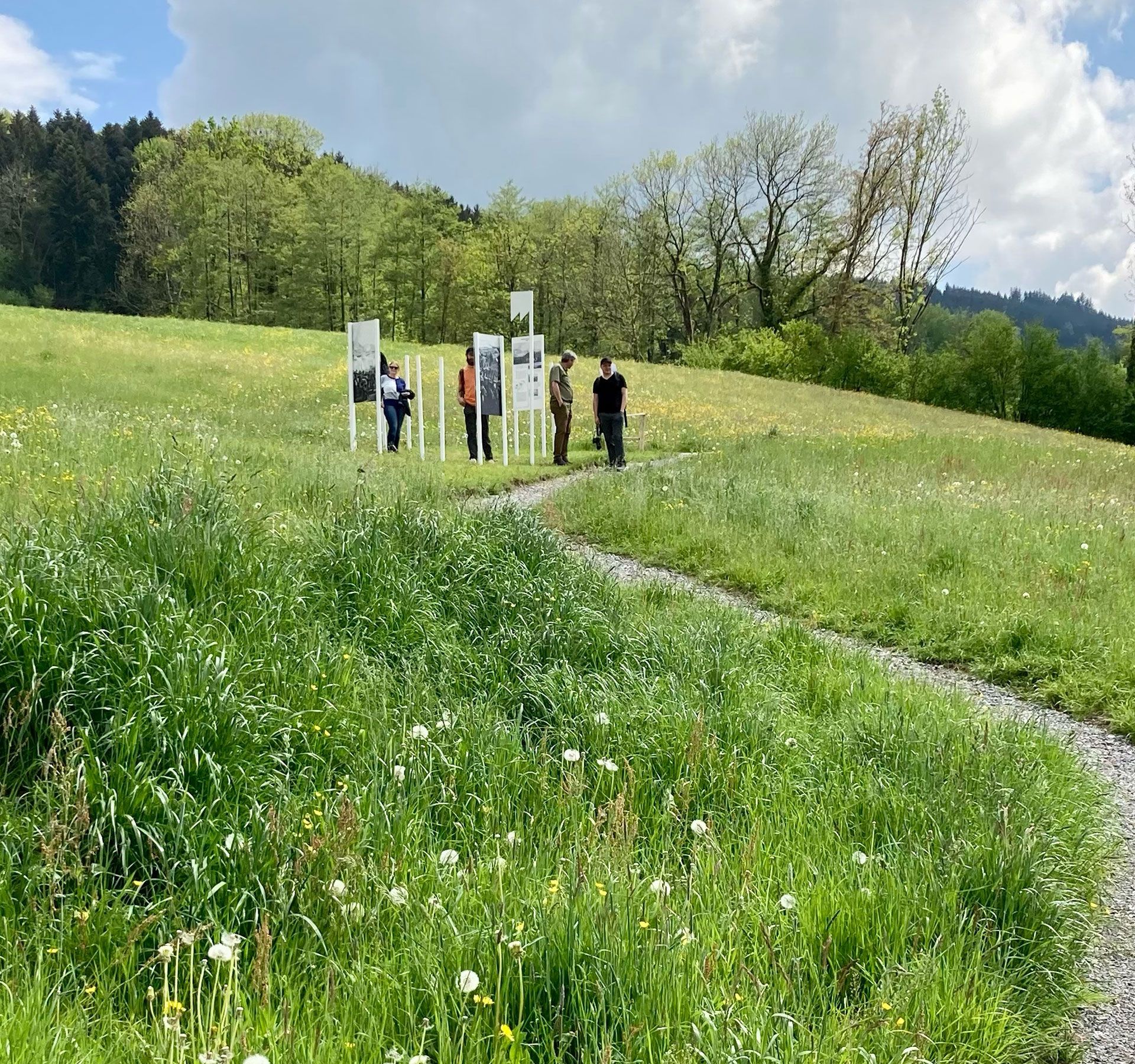 Grüne Wiesenlandschaft mit schmalem Kiesweg; mehrere Menschen betrachten Informationstafeln vor Bäumen und bewaldeten Hügeln.