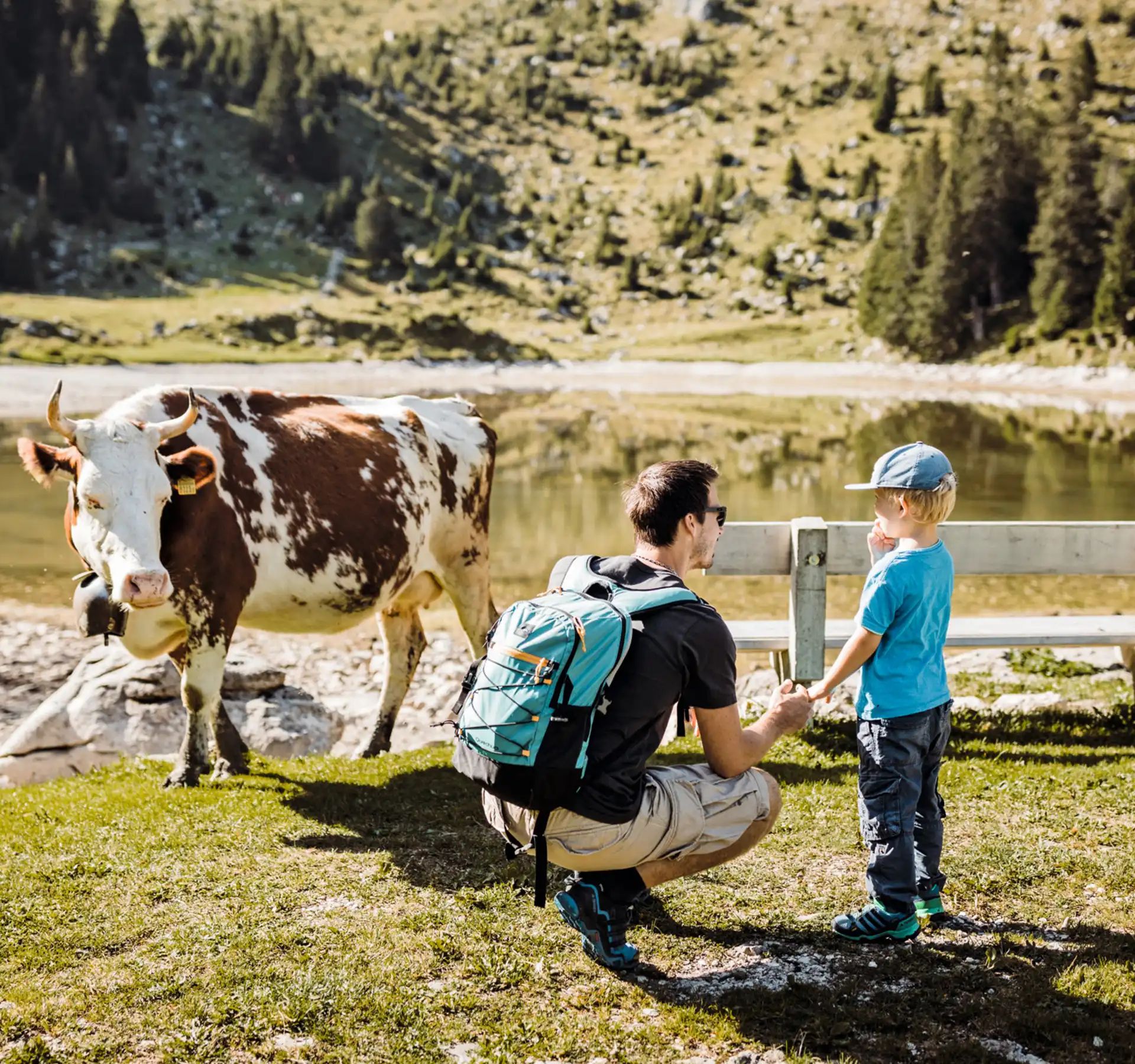 Father and son stand in front of a small mountain lake and a cow. The cow is looking eagerly at the two visitors. It is beautiful, sunny summer weather.