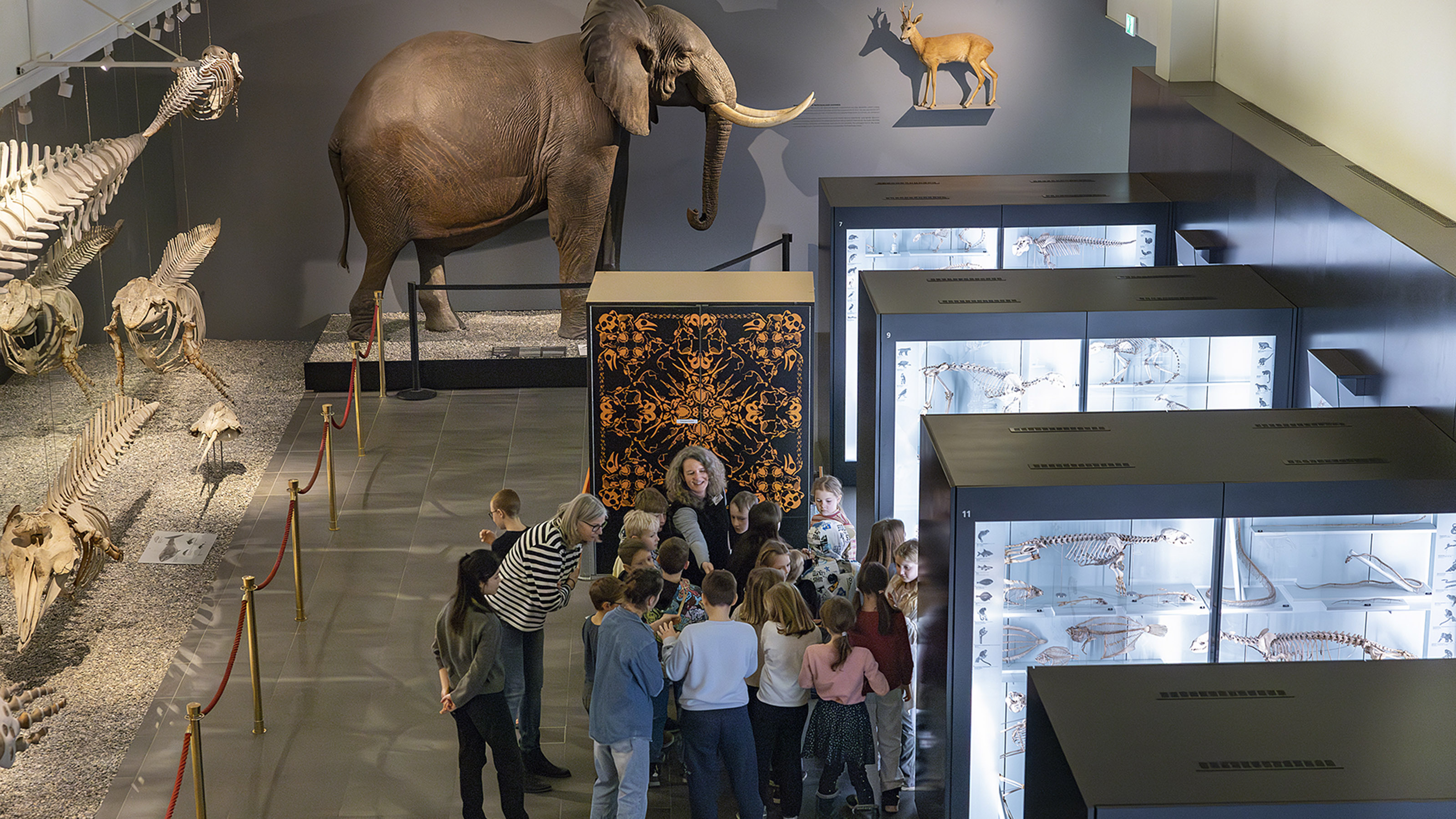 Group of children with two adults in a natural history museum exhibit. In the background, an elephant, a deer, and large animal skeletons. On the right, illuminated display cases with skeletons. The scene is lively and educational.