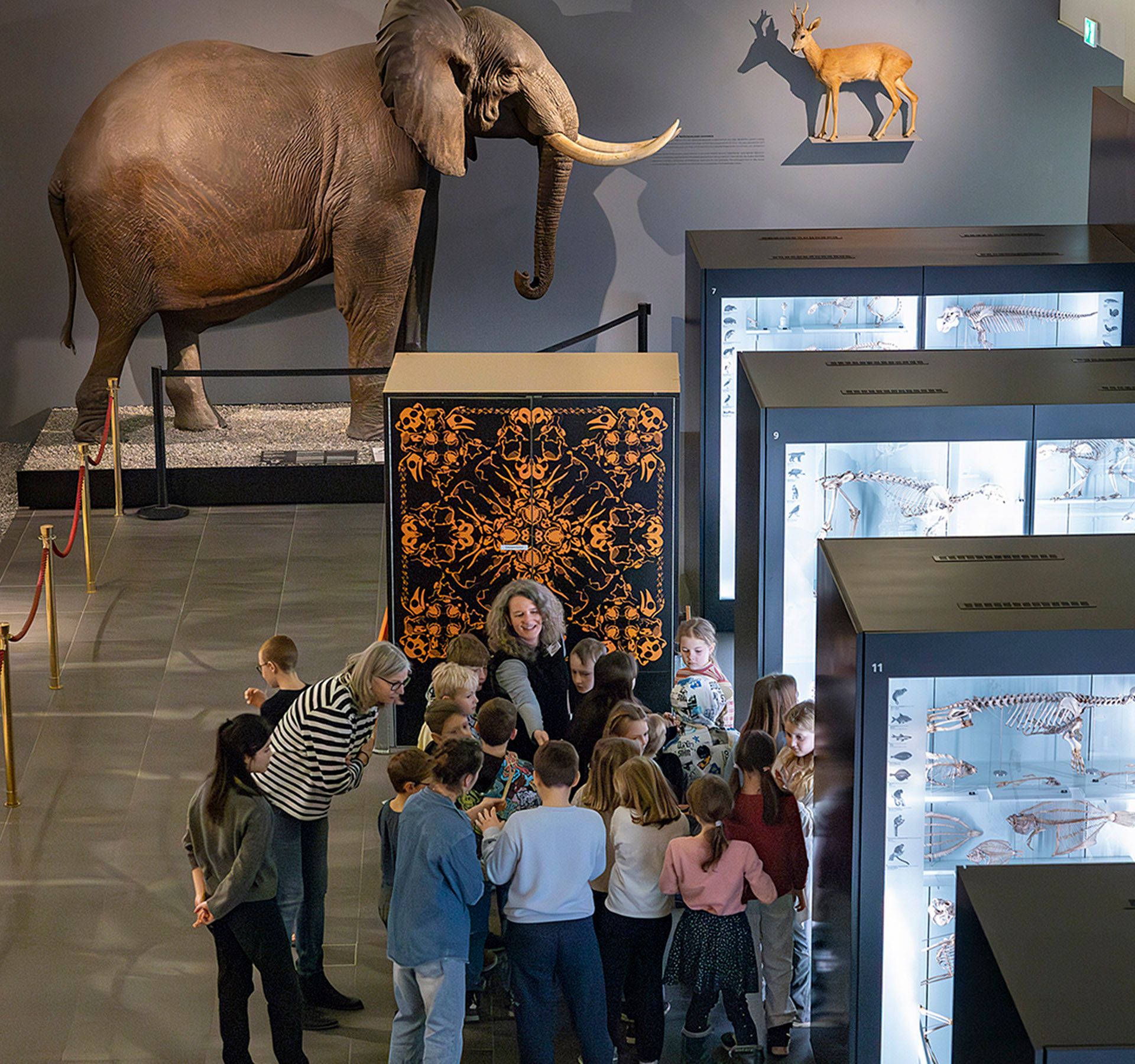 Gruppe von Kindern mit zwei Erwachsenen in einer Ausstellung des Naturhistorischen Museums. Im Hintergrund ein Elefant, ein Reh und Skelette großer Tiere. Rechts beleuchtete Vitrinen mit Tierskeletten. Die Szene wirkt lebendig und lehrreich.