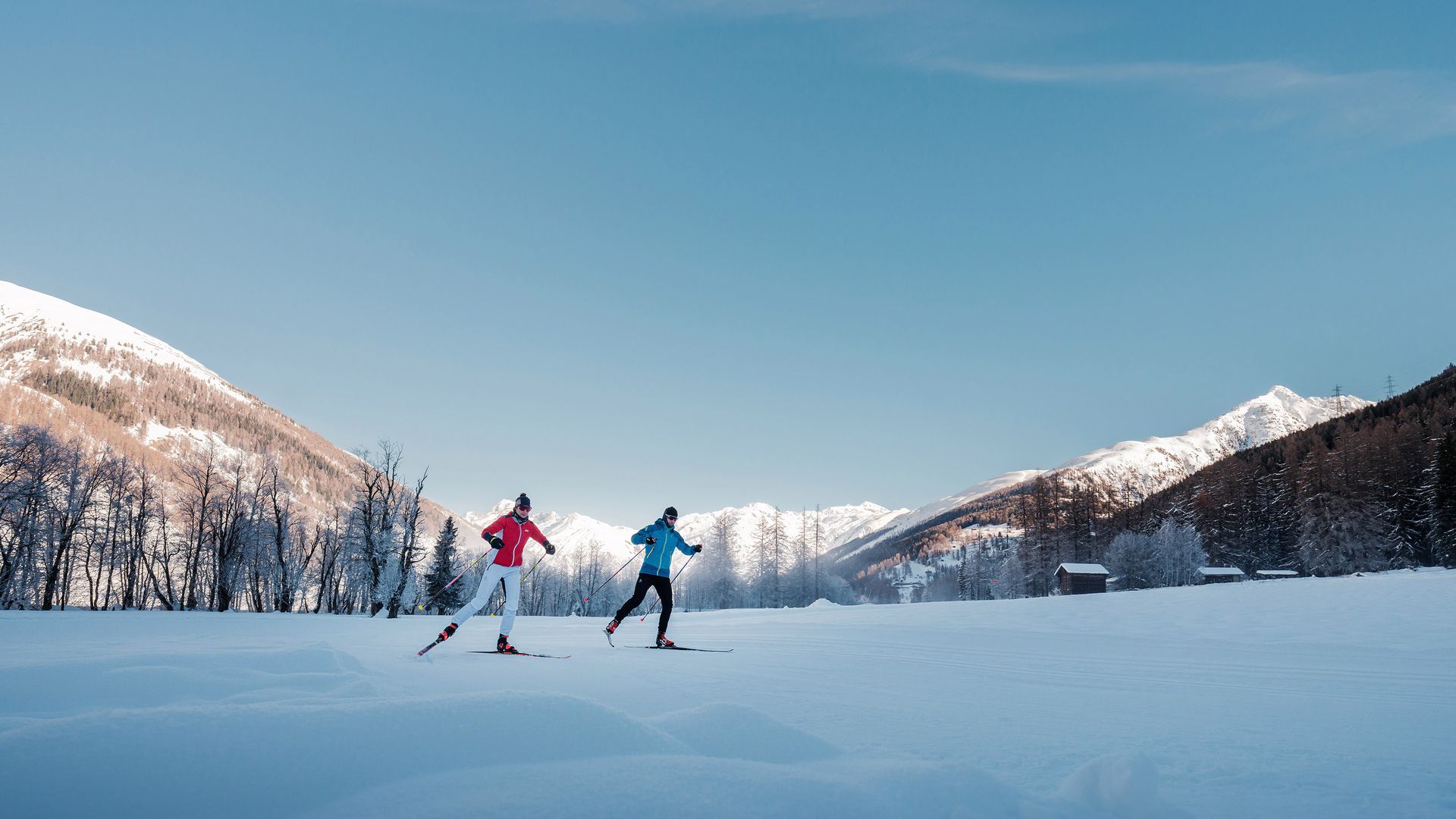 Deux personnes font du ski de fond ensemble sur une piste enneigée, entourées d'un paysage hivernal serein.