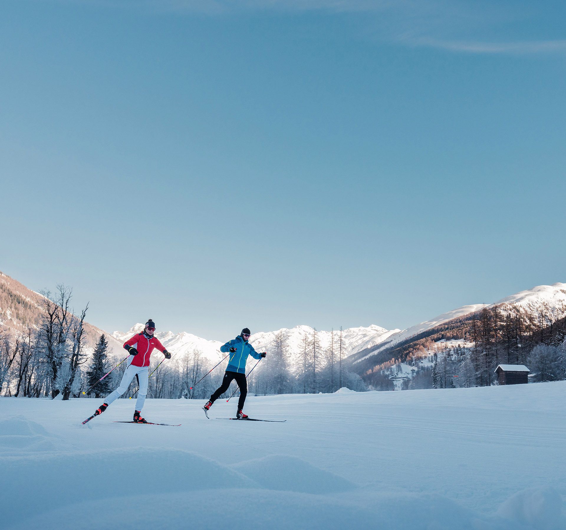 Two people enjoy cross-country skiing together on a snowy trail, surrounded by a serene winter landscape.