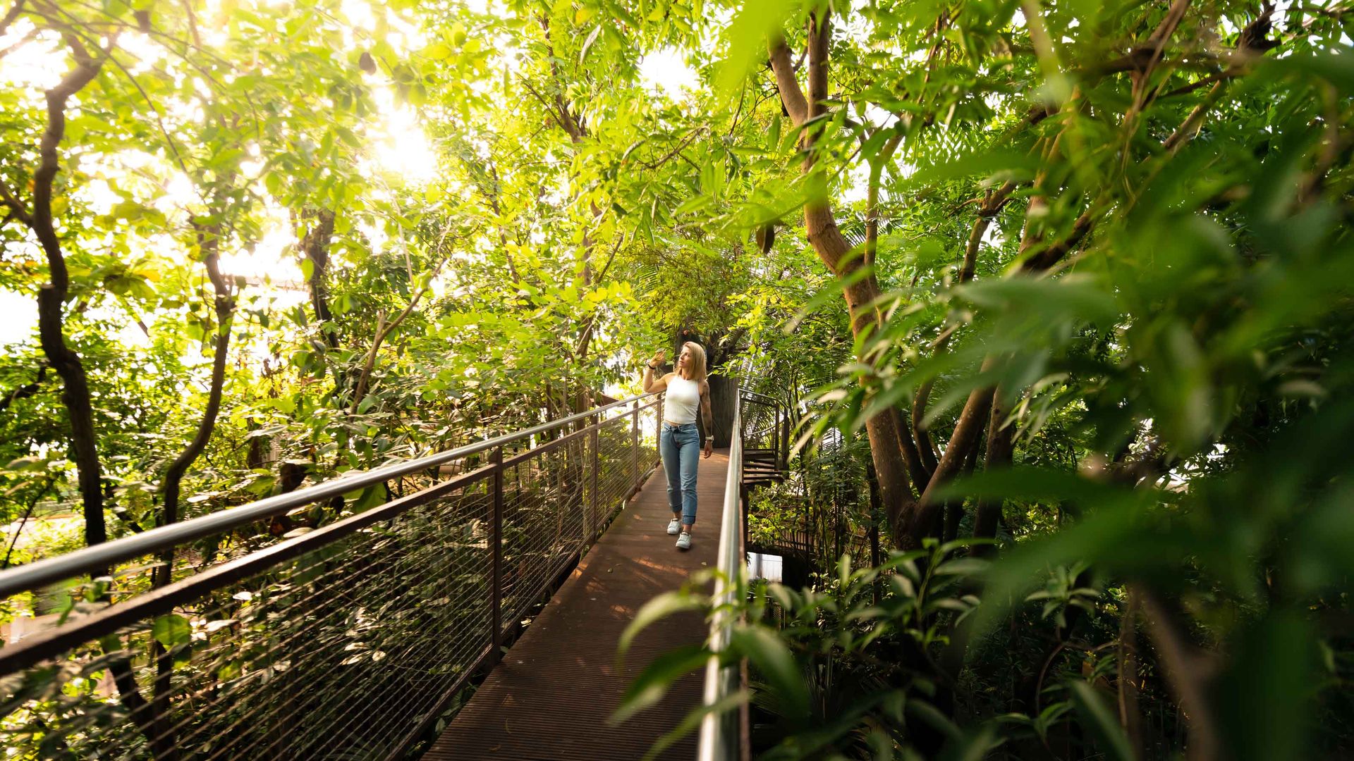 Une jeune femme admire les papillons dans la forêt tropicale du Papiliorama.
