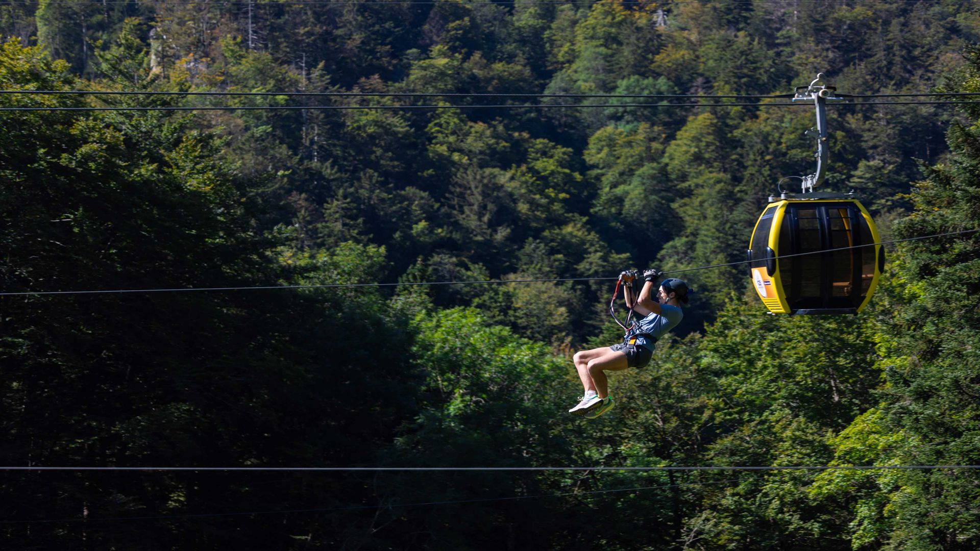 Eine Person fährt mit einer Zipline durch einen Wald, neben einer gelben Gondel in malerischer Naturkulisse.