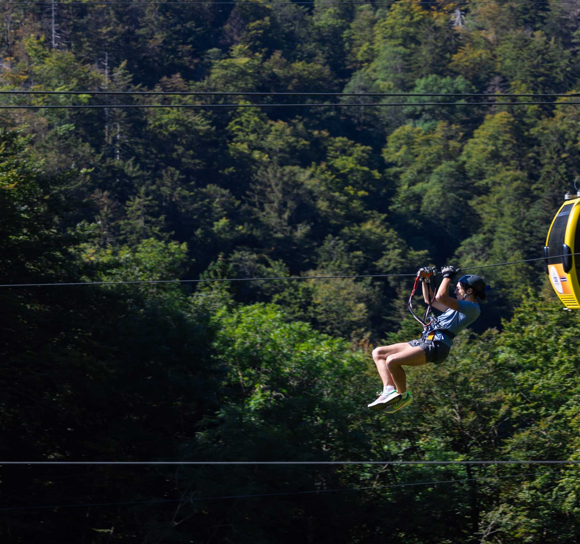 Eine Person fährt mit einer Zipline durch einen Wald, neben einer gelben Gondel in malerischer Naturkulisse.