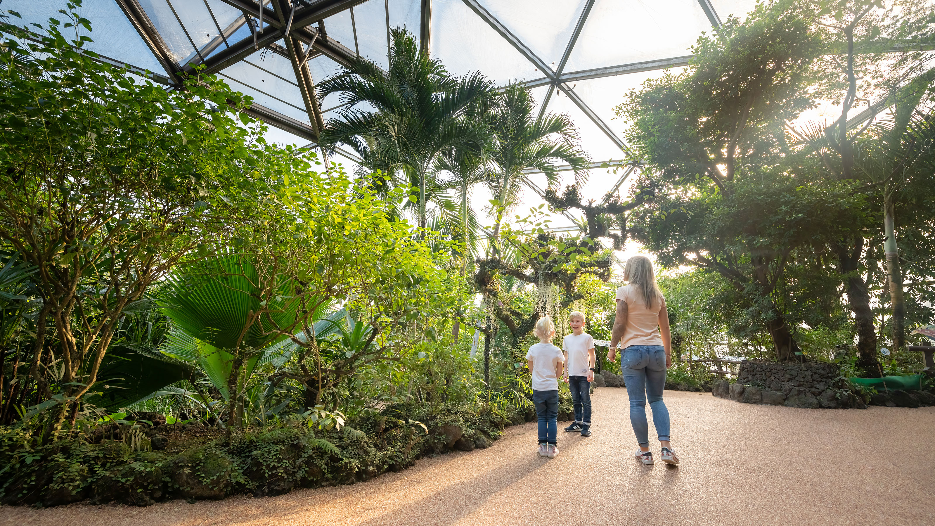 Deux enfants et un adulte marchent sur un sentier du Papiliorama, entourés d'arbres tropicaux sous un toit en verre.