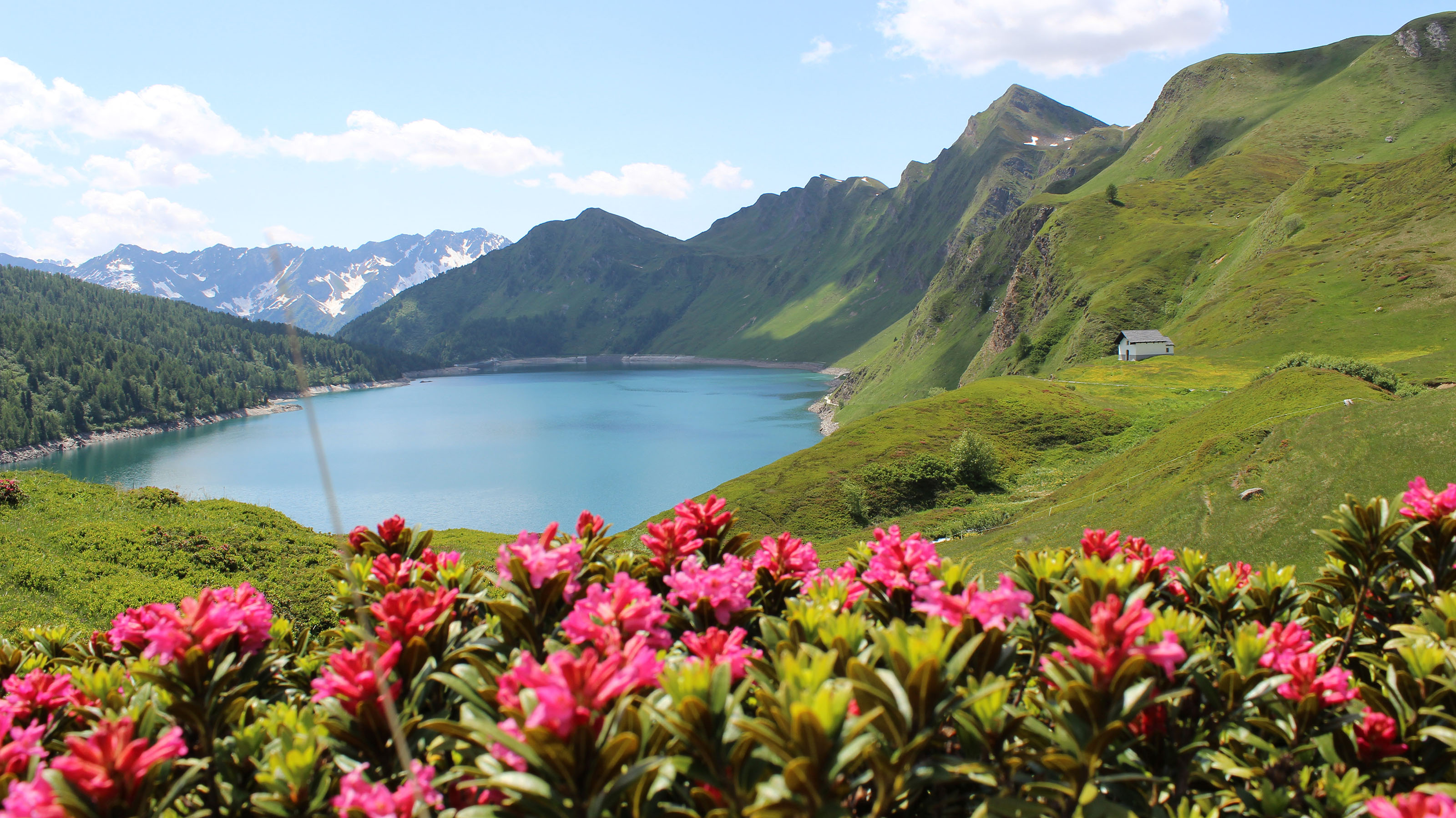 View of Lago Ritom and the surrounding mountains and vegetation.