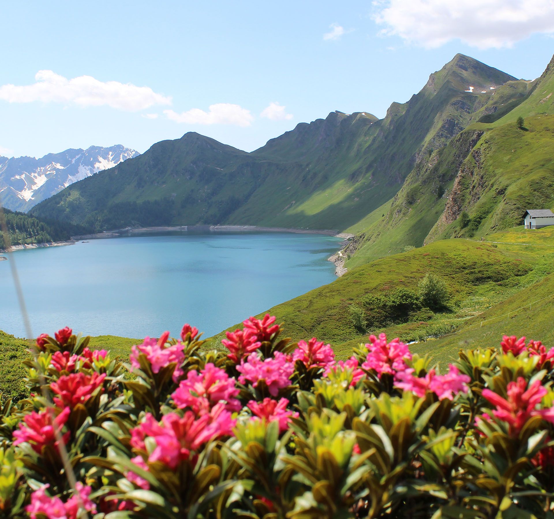 Vue sur le lac Ritom et les montagnes et la végétation environnantes.