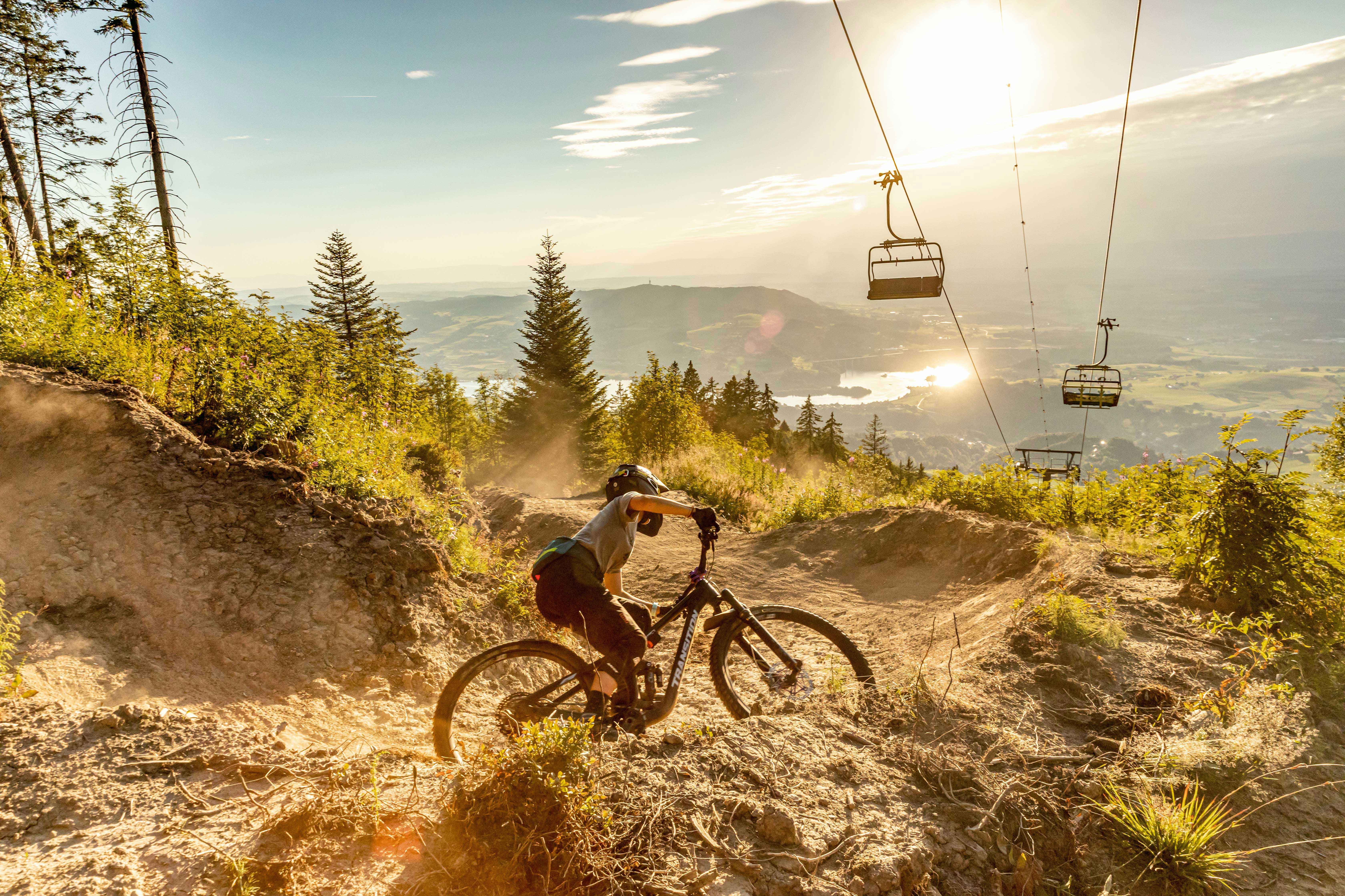 Ein Radfahrer fährt auf einem zerklüfteten, von Bäumen und felsigem Gelände umgebenen Mountainbike-Weg.