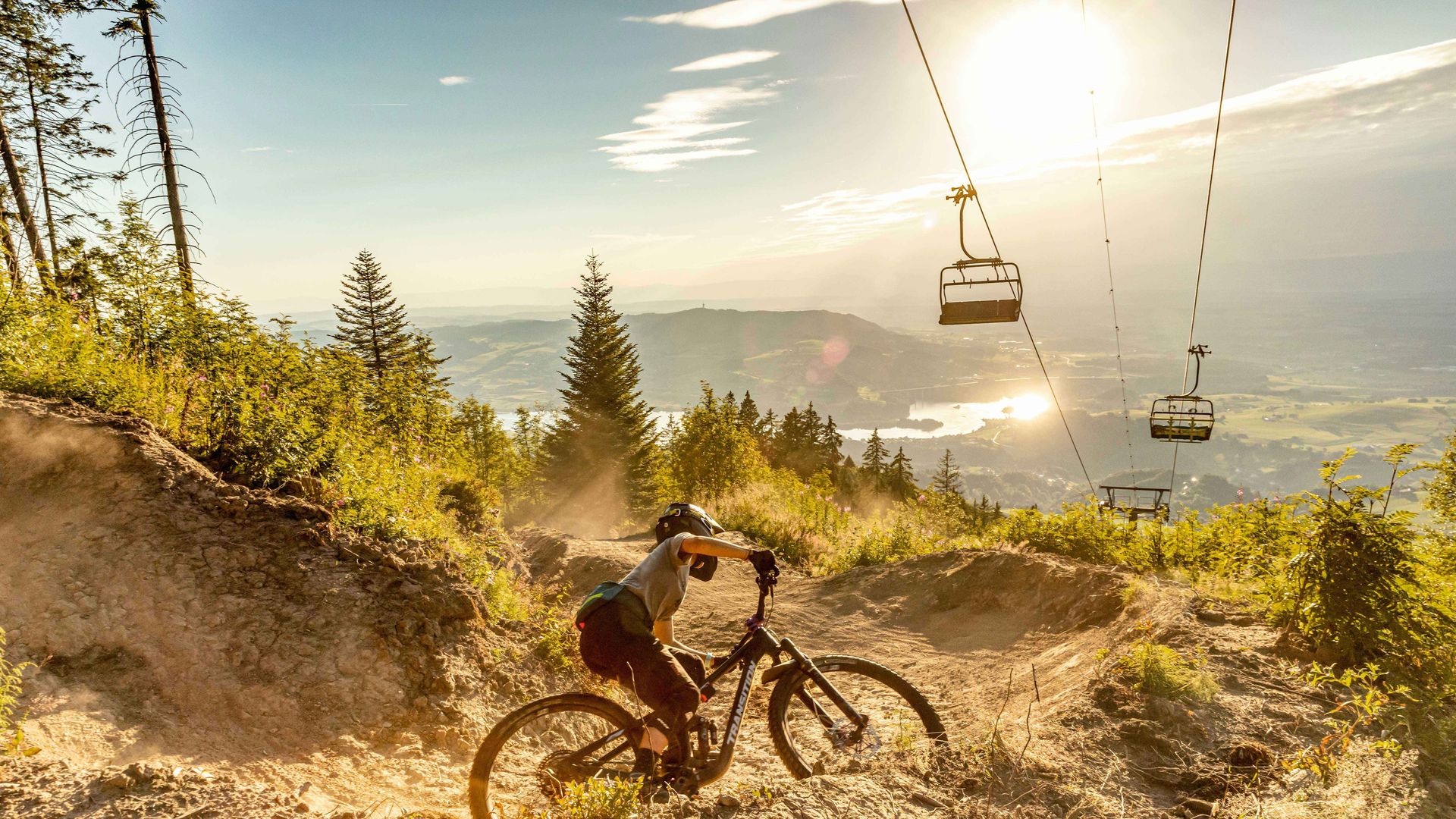 Ein Radfahrer fährt auf einem zerklüfteten, von Bäumen und felsigem Gelände umgebenen Mountainbike-Weg.