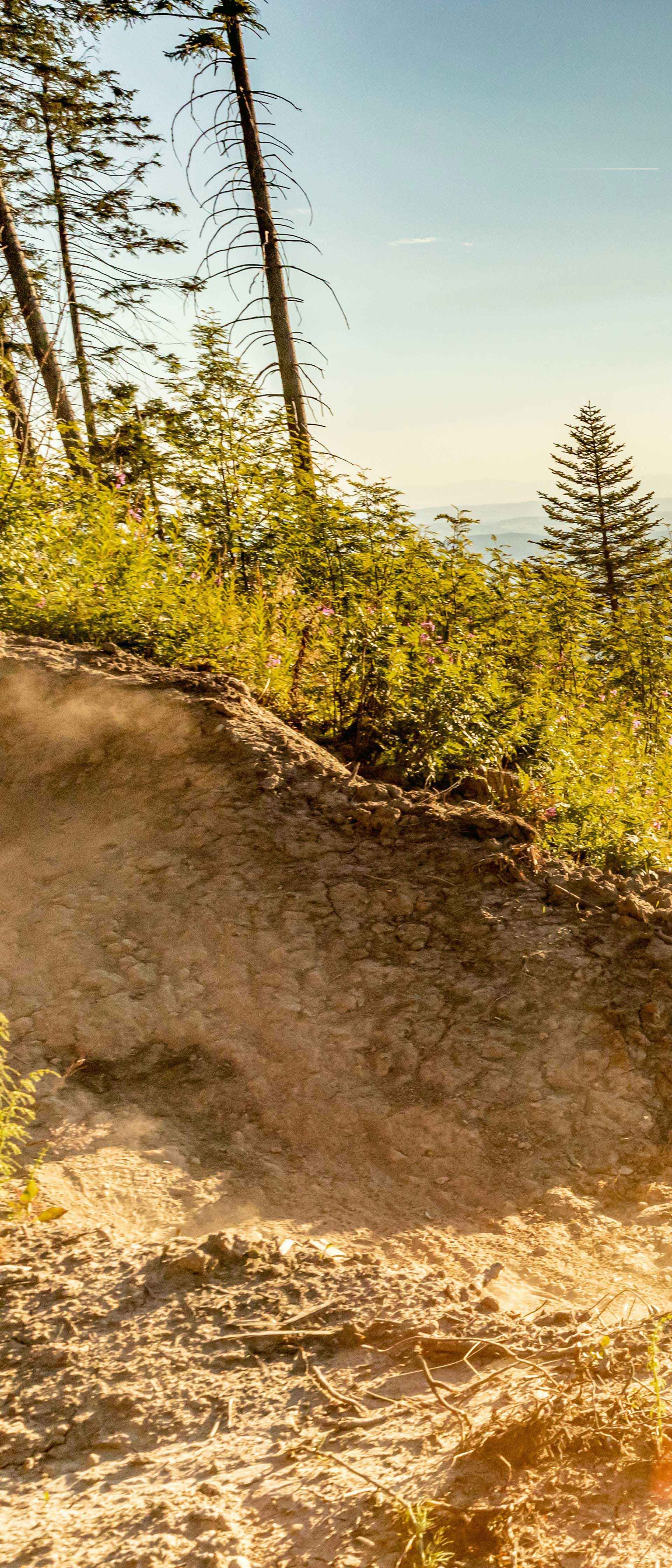 Ein Radfahrer fährt auf einem zerklüfteten, von Bäumen und felsigem Gelände umgebenen Mountainbike-Weg.