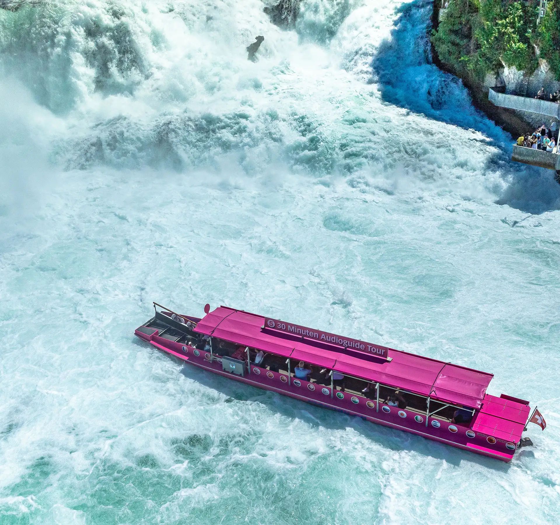 Ein pinkes Boot mitten im Rheinfall.