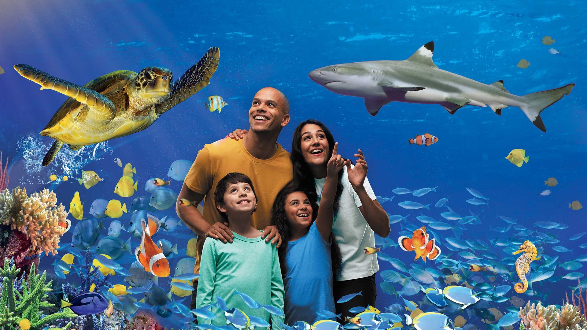 Une famille pose ensemble devant une toile de fond océanique vibrante, mettant en valeur une vue magnifique et colorée du bord de mer.