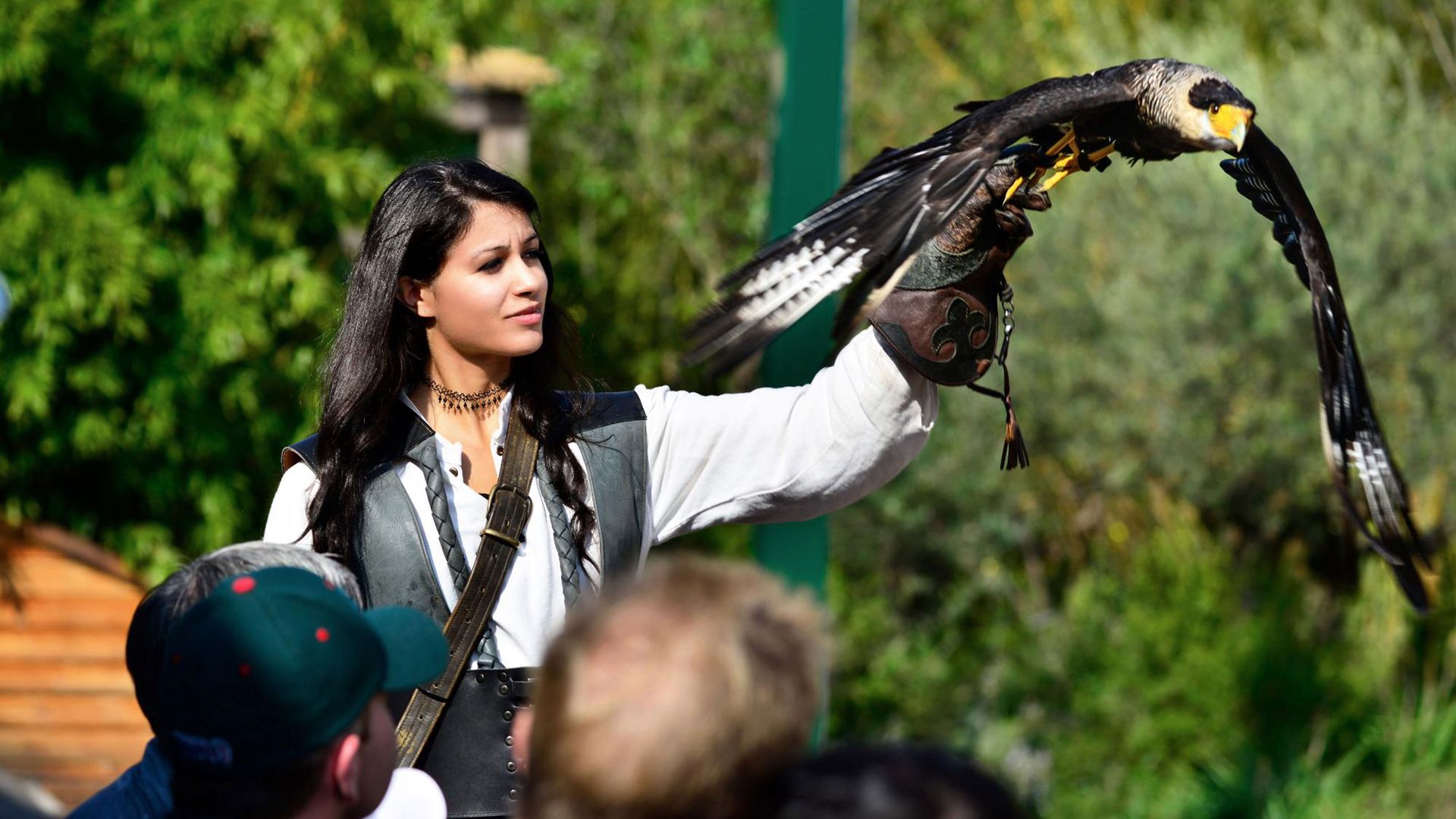 Una donna in abito medievale tiene un falco nella mano guantata.