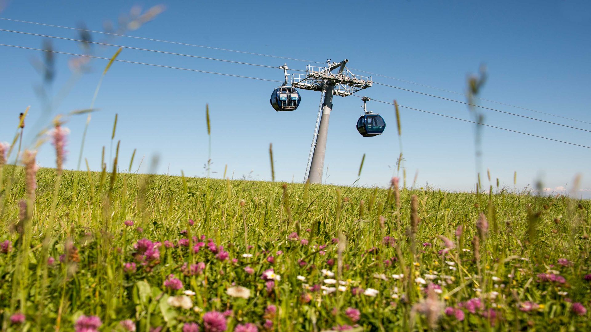 Deux télécabines bleues photographiées sur leur trajet vers le Weissenstein et retour dans la vallée. Au premier plan, il y a une prairie verte avec des fleurs violettes et le ciel est bleu acier.