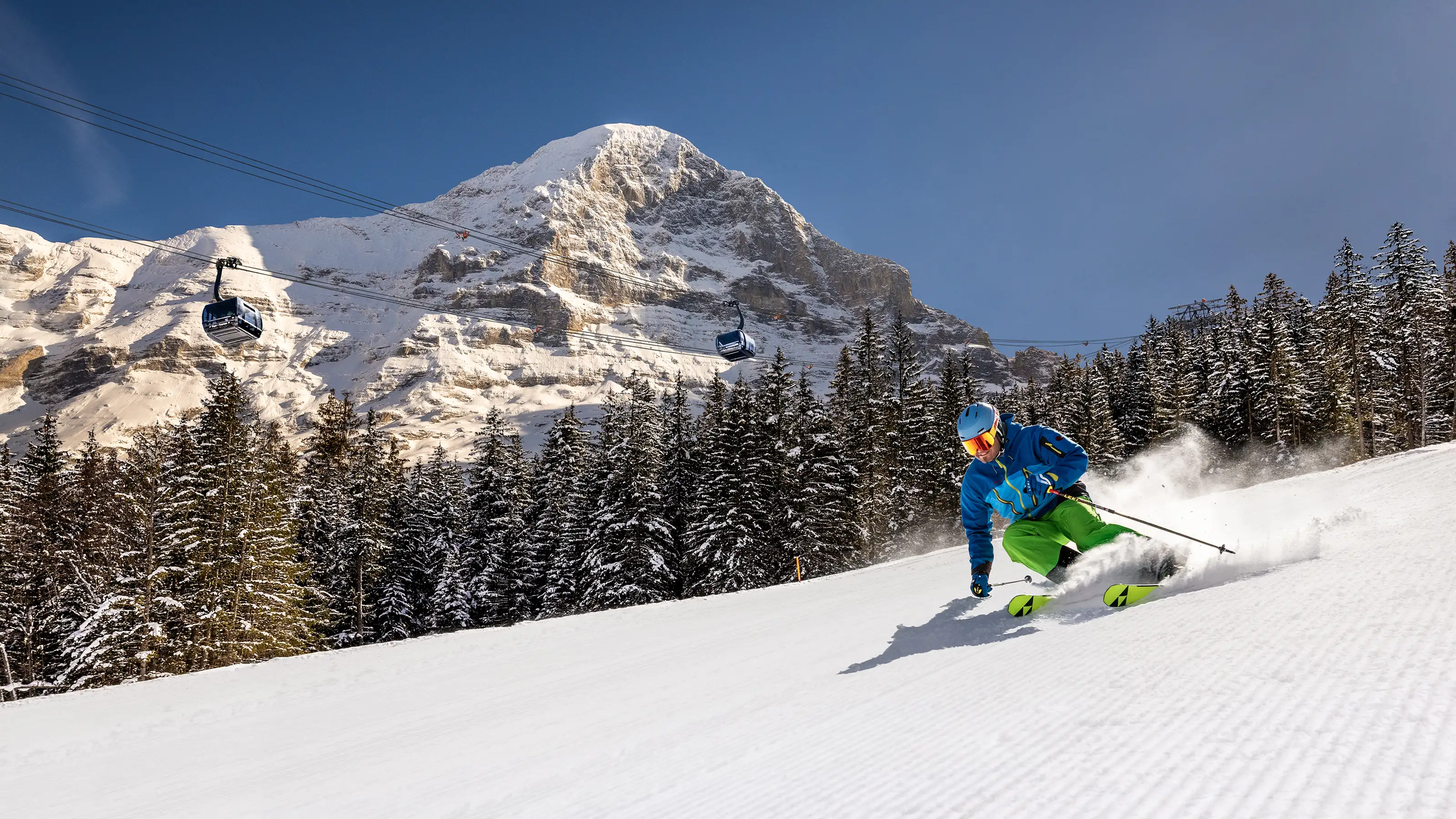 Skifahrer in blauer Jacke und grüner Hose fährt auf präparierter Piste vor verschneitem Eiger und Tannenwald in der Ski Region Jungfrau.