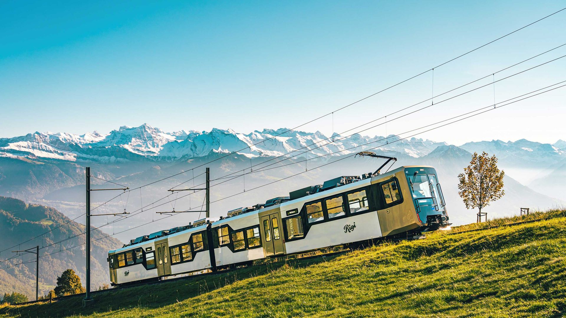 Der Rigi-Zug auf der Fahrt durch eine malerische Berglandschaft an einem klaren Tag.