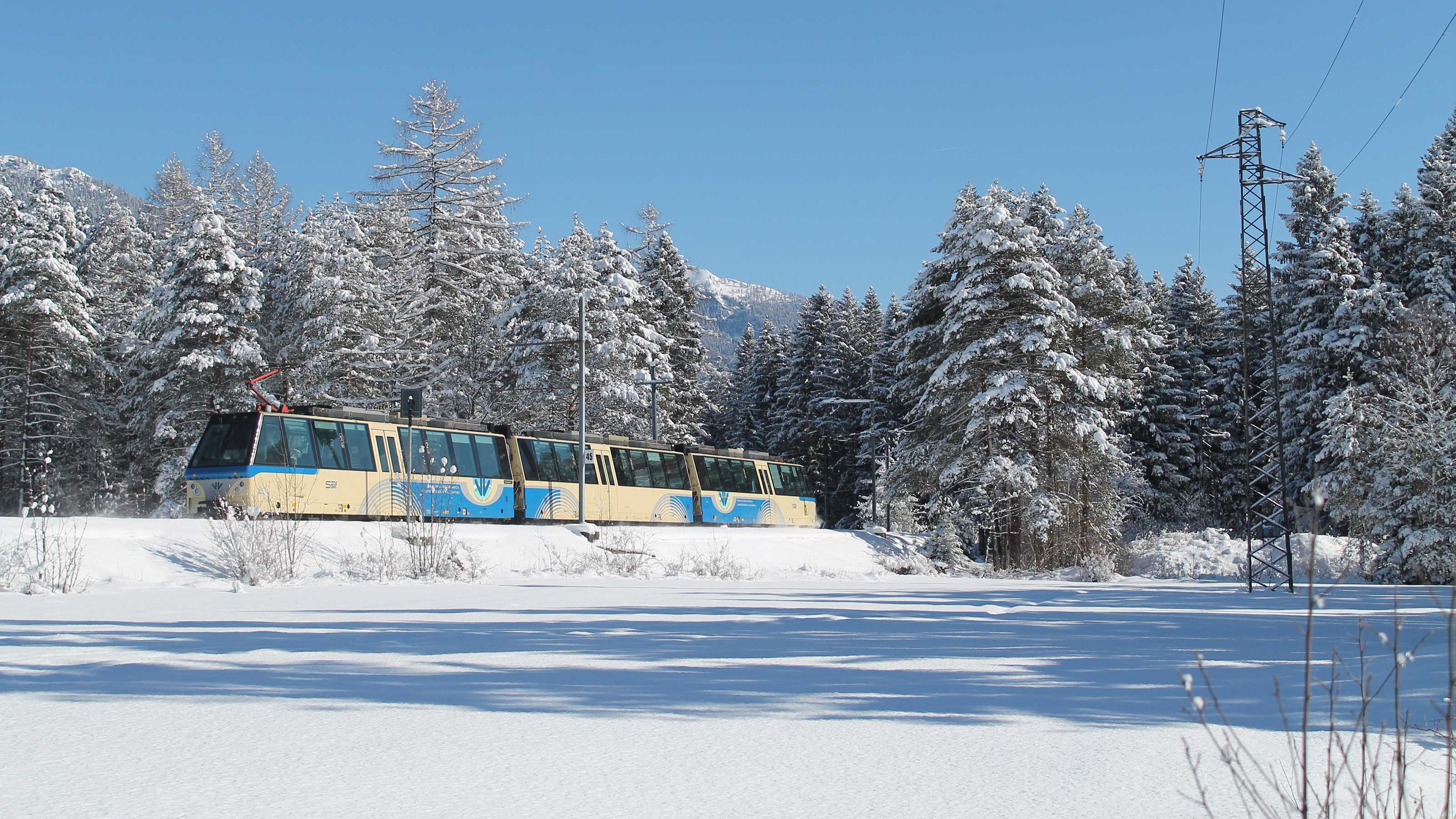 Die Centovalli-Bahn fährt durch eine verschneite Winterlandschaft, umgeben von schneebedeckten Bäumen unter einem klaren, blauen Himmel.