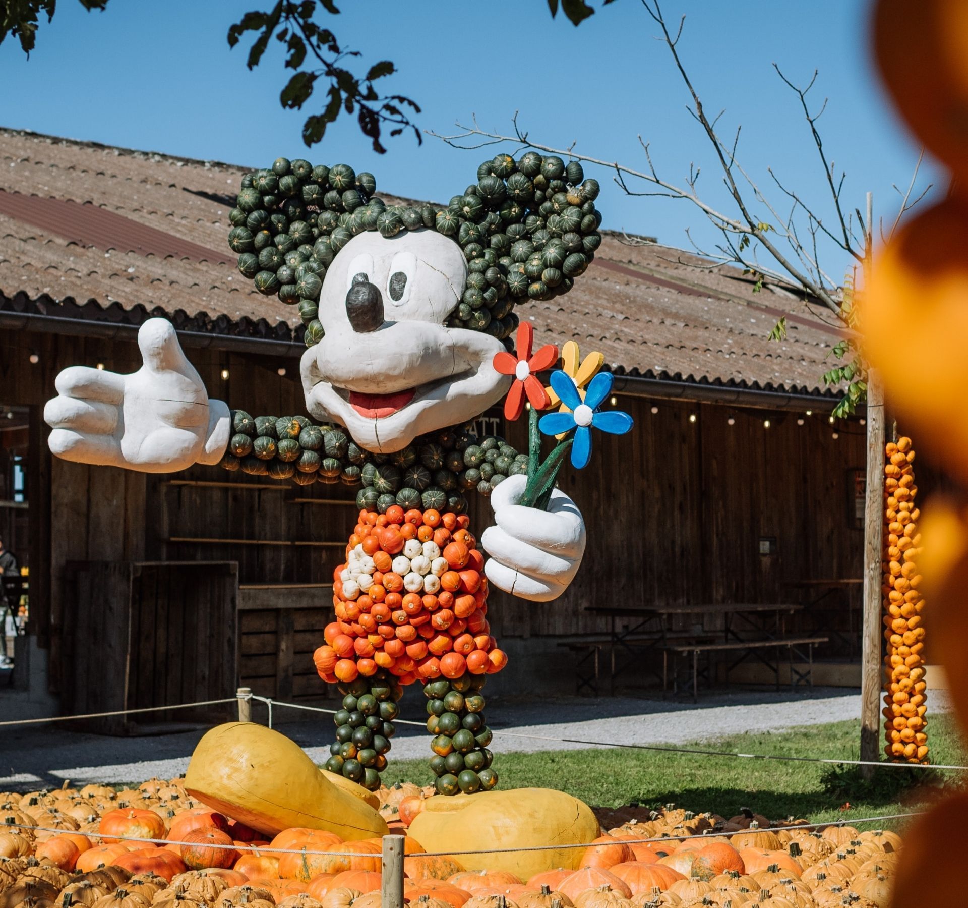 Sculptures de citrouilles à l’exposition de la Jucker Farm.