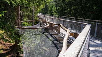 A marble run installation on the treetop path in Laax