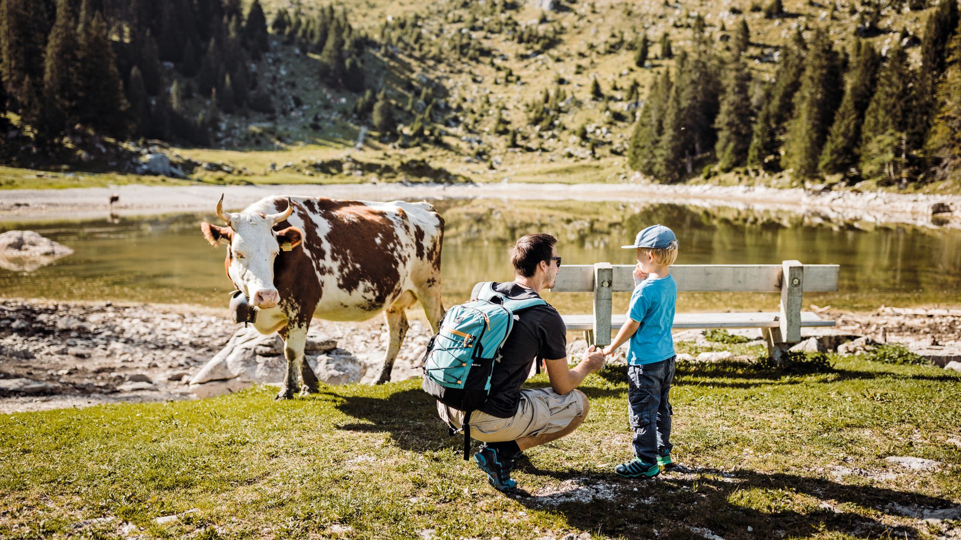 Father and son stand in front of a small mountain lake and a cow. The cow is looking eagerly at the two visitors. It is beautiful, sunny summer weather.