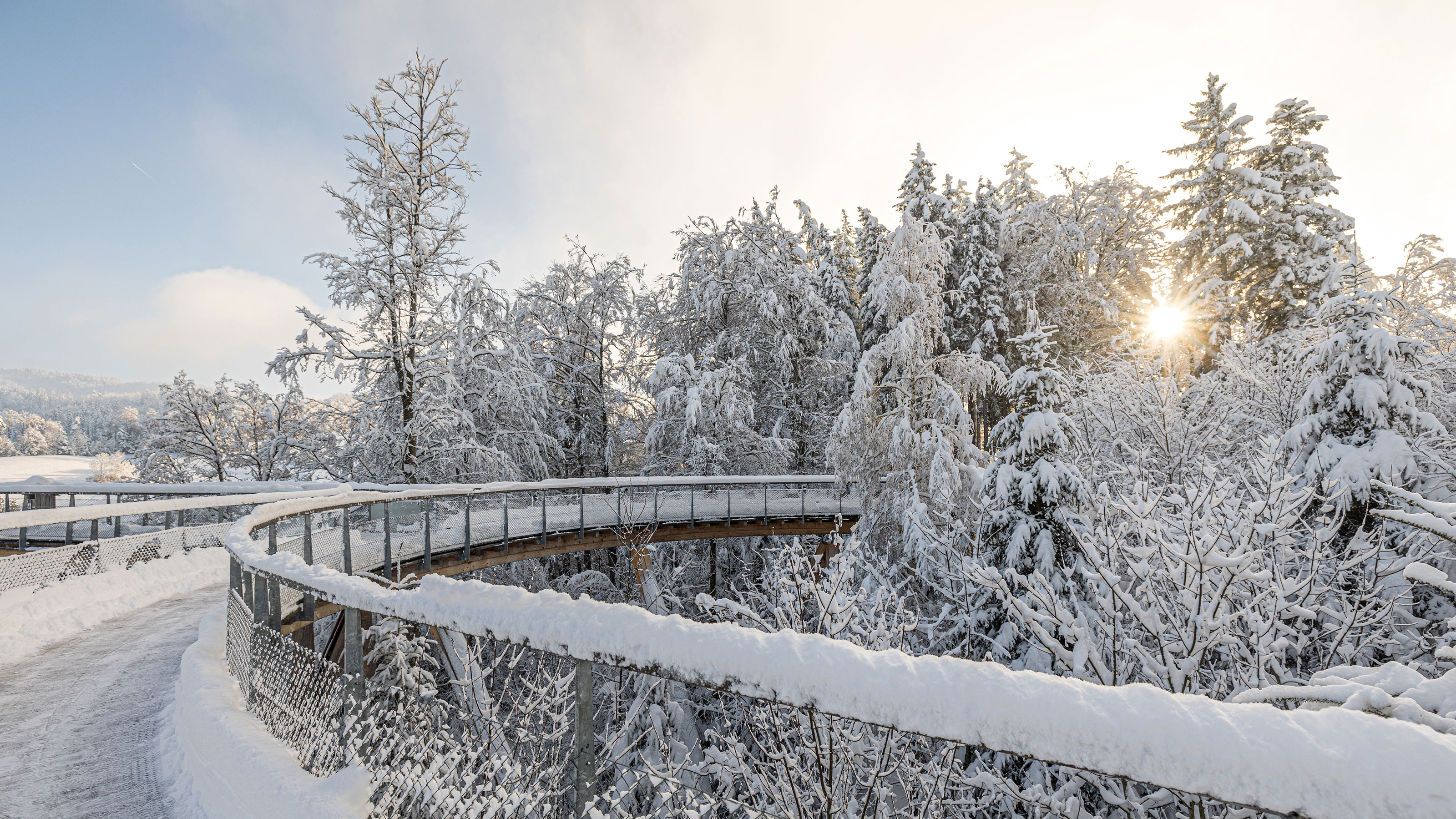 Der schneebedeckte Baumwipfelpfad erstreckt sich im hellen Sonnenschein.