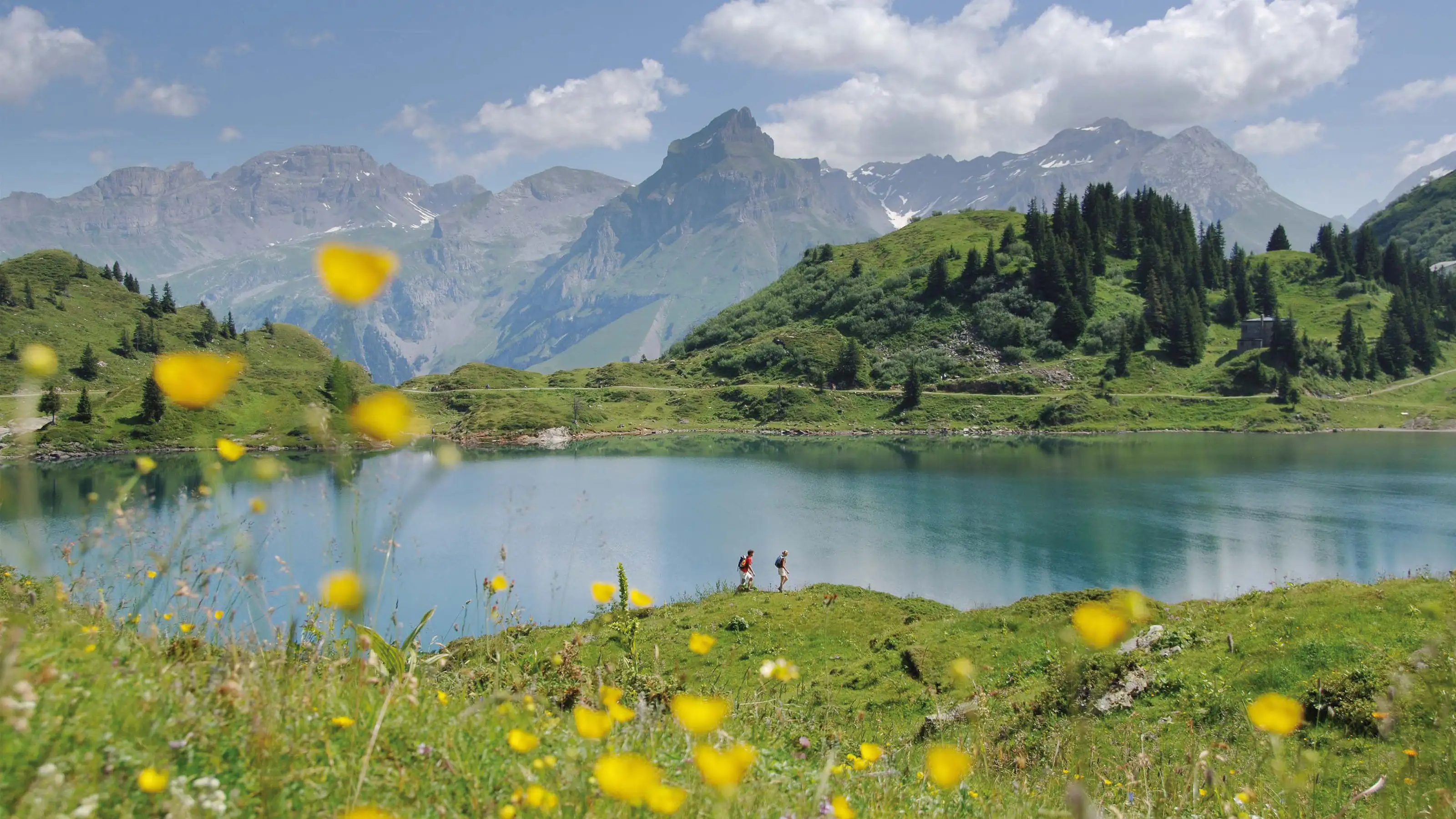 Bergsee mit grünen Hügeln, gelben Blumen im Vordergrund und Wanderern am Ufer vor einer Bergkulisse