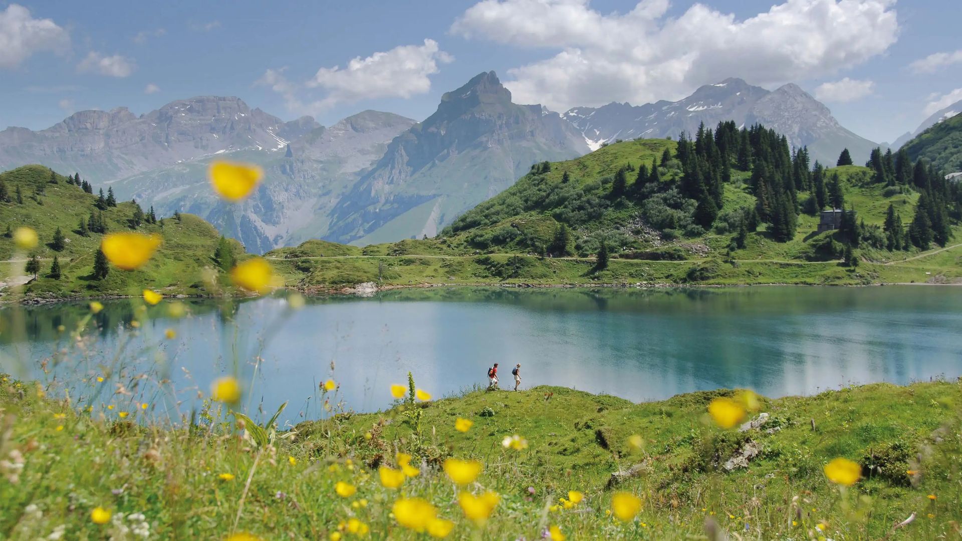Bergsee mit grünen Hügeln, gelben Blumen im Vordergrund und Wanderern am Ufer vor einer Bergkulisse
