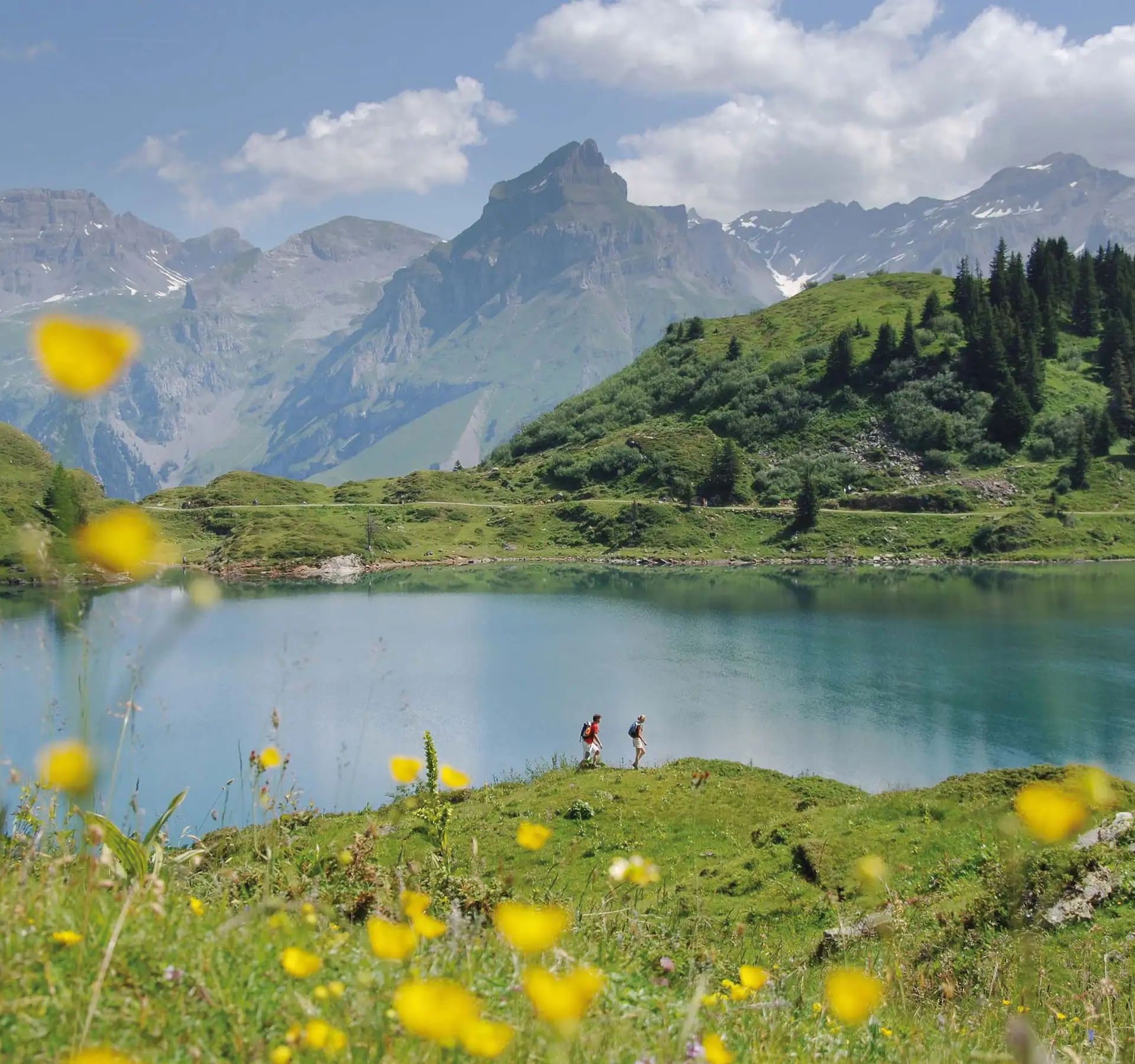 Lac de montagne avec collines vertes, fleurs jaunes au premier plan et randonneurs au bord devant un paysage montagneux