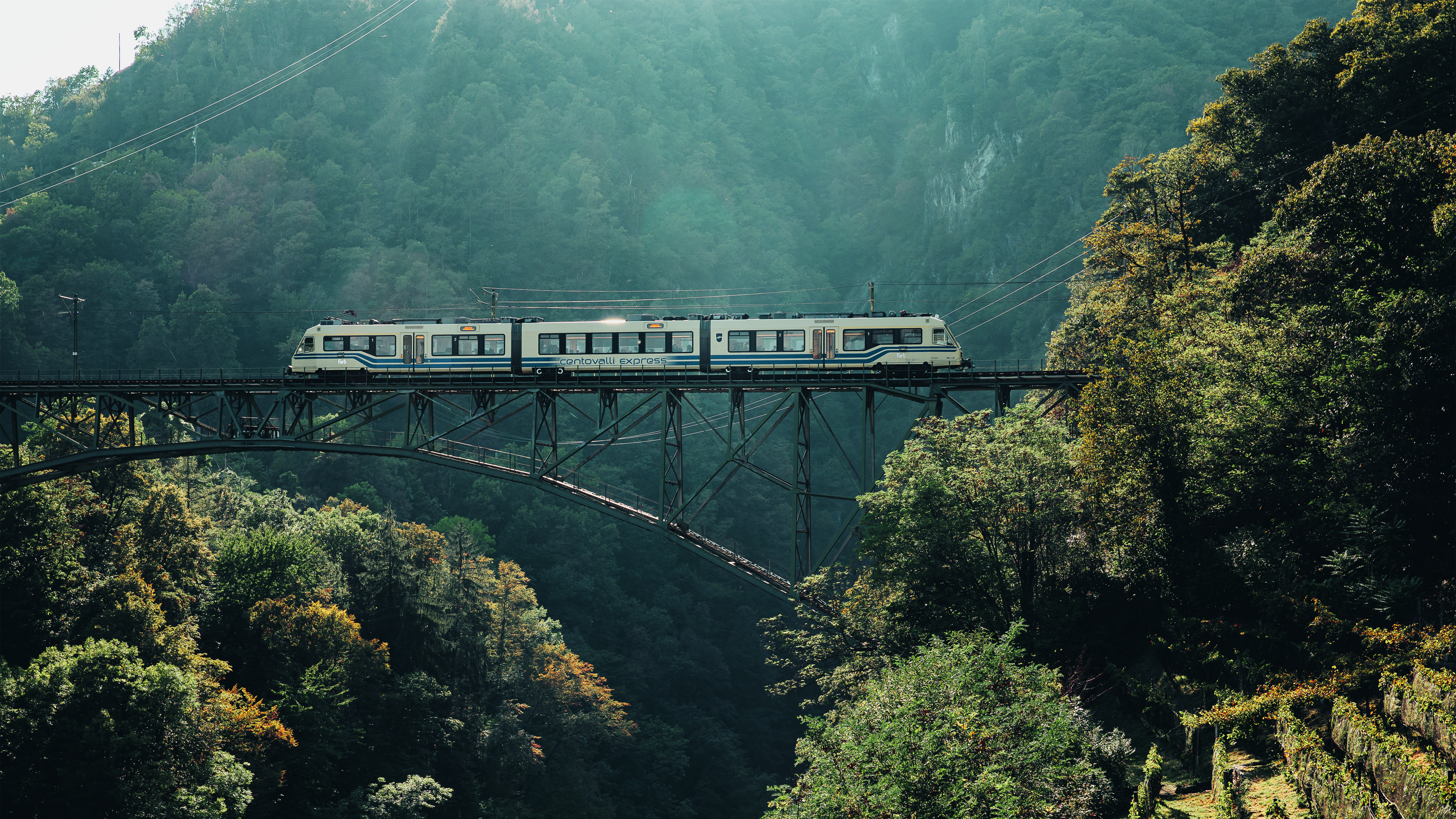 Une treno attraversa un ponte in una valle verde.