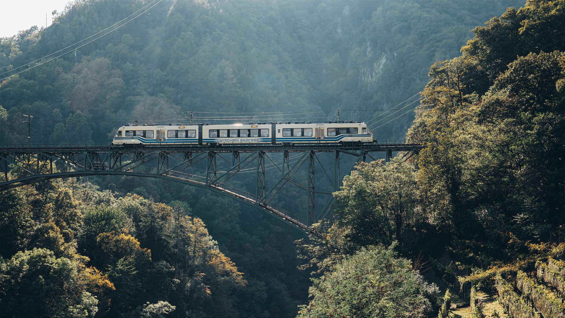 Un train traverse un pont dans une vallée verte.