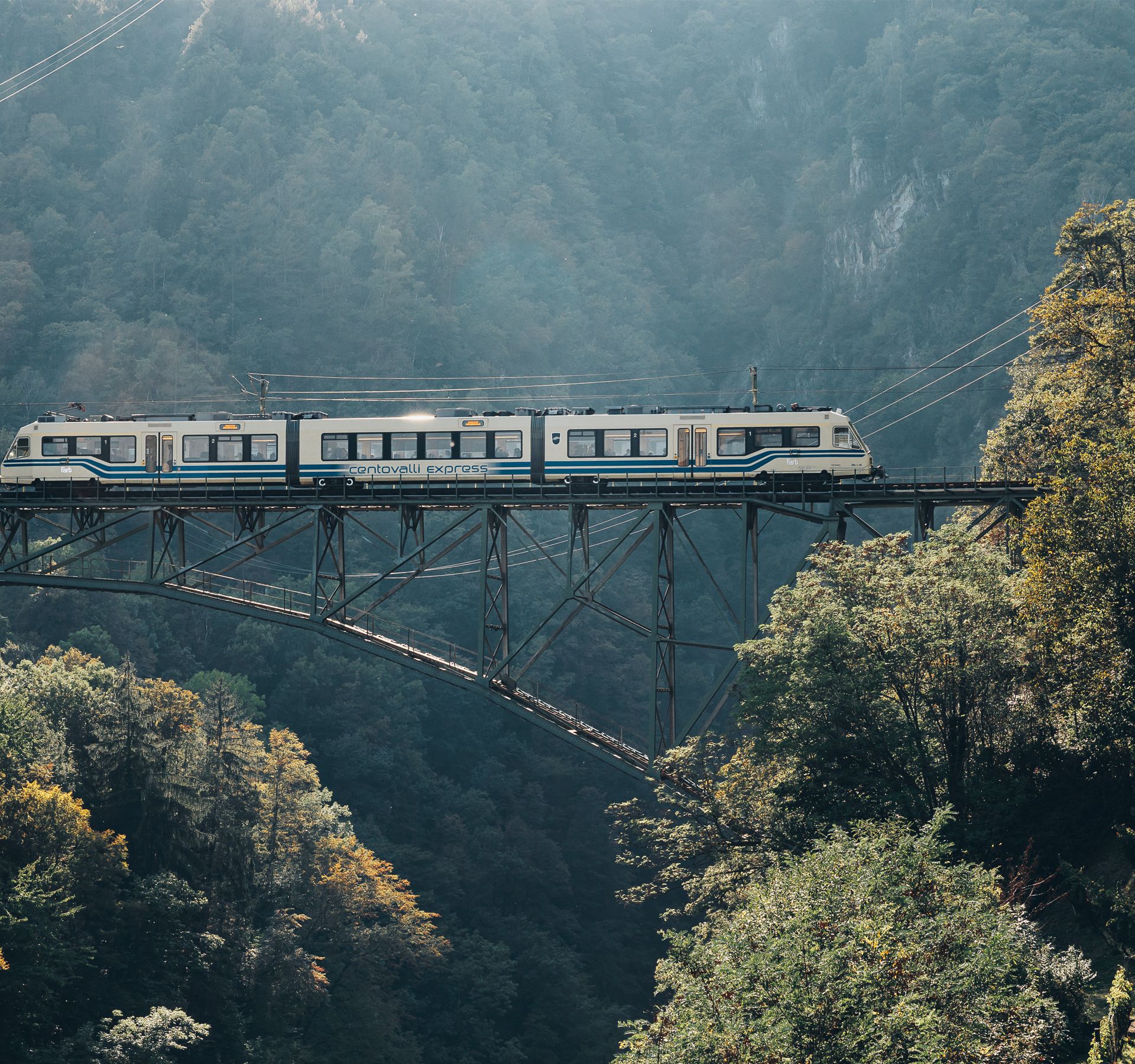 Une treno attraversa un ponte in una valle verde.