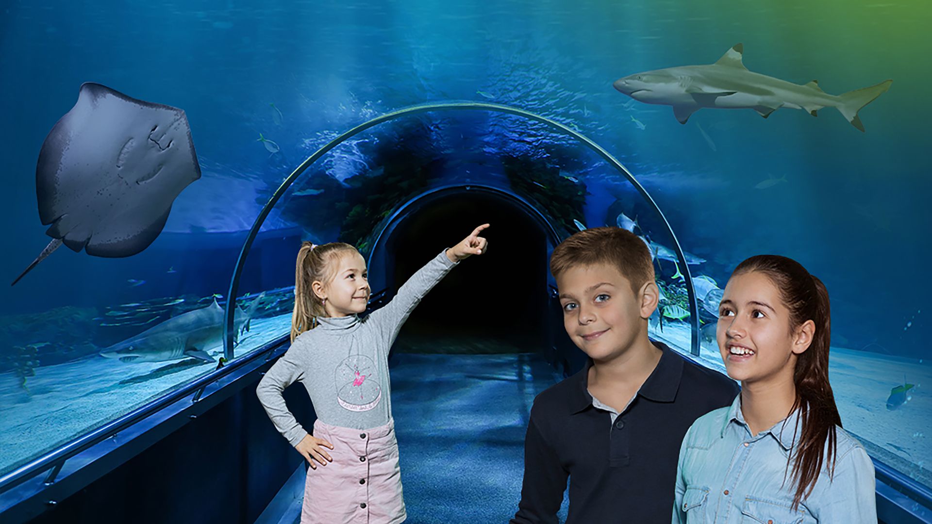 Drei Kinder stehen vor einem großen Aquarium und betrachten die bunten Fische, die darin schwimmen.