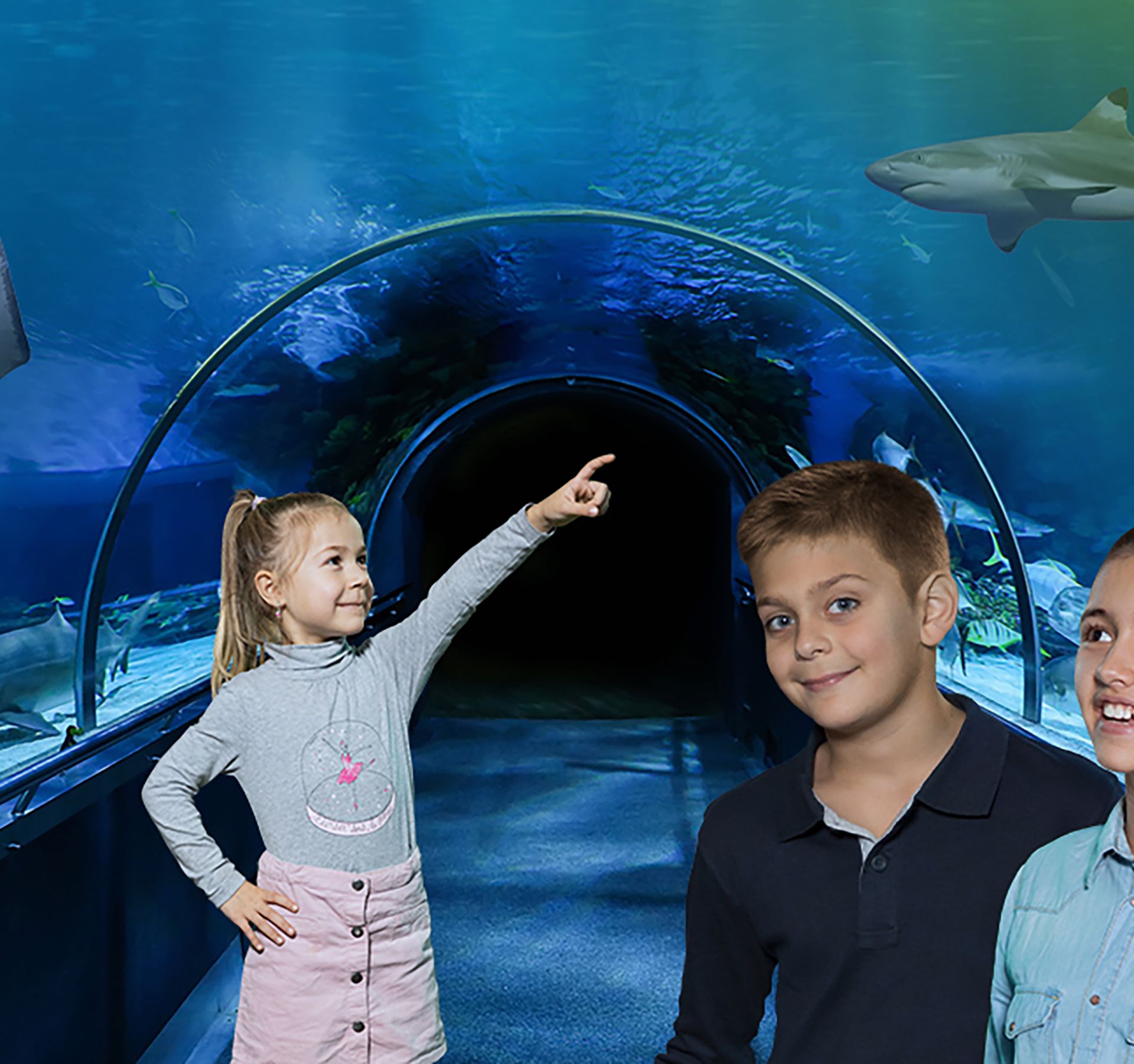 Drei Kinder stehen vor einem großen Aquarium und betrachten die bunten Fische, die darin schwimmen.