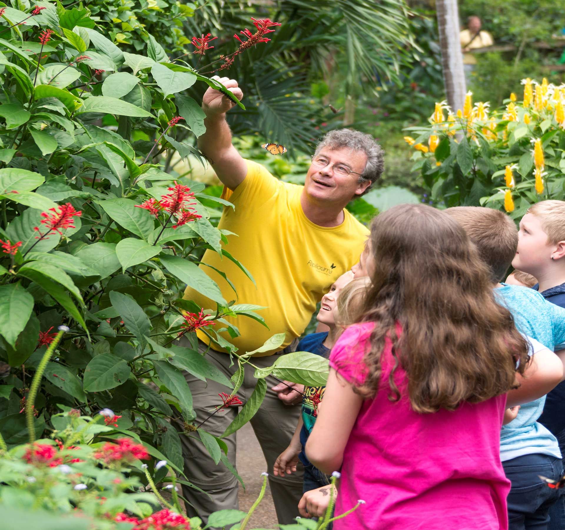 A man shows a group of children red flowers and butterflies flying around in a tropical garden.